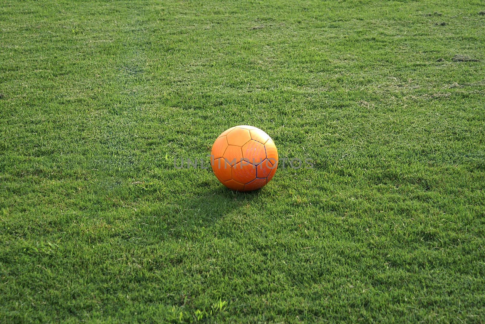 Orange tinted ball in green grass.                 