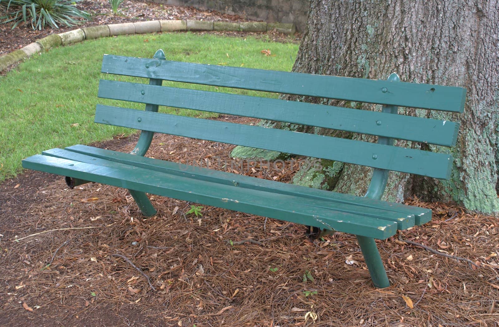 Green bench located under a tree in a park.                  