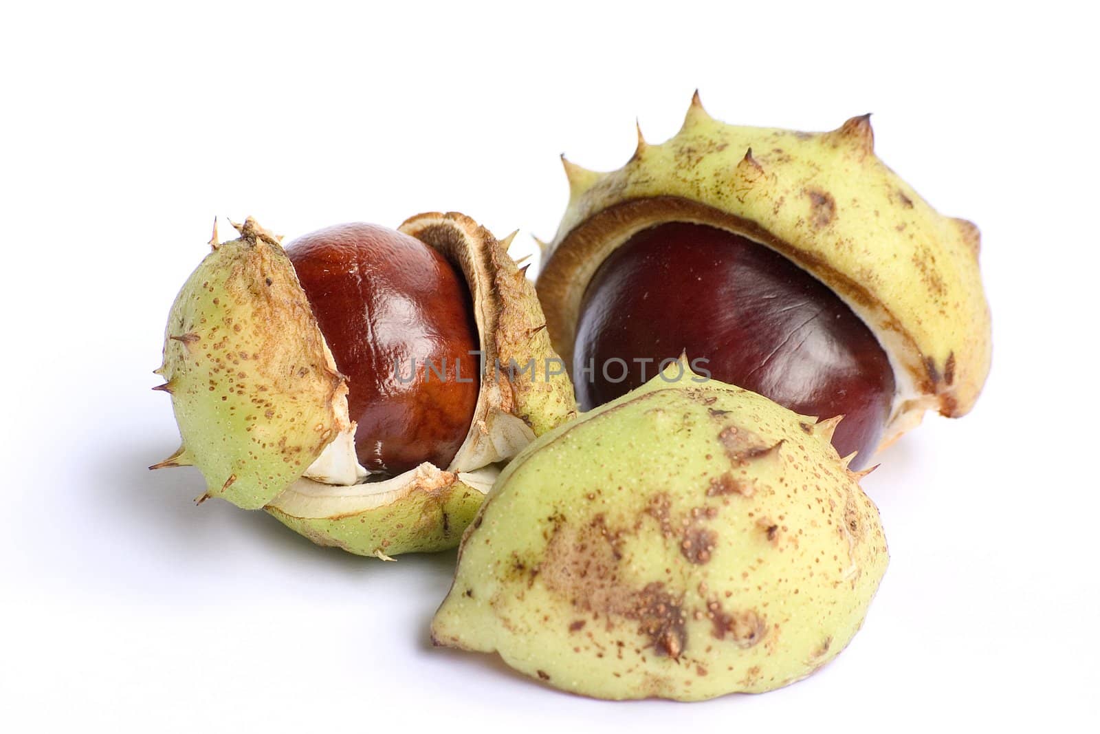 Bunch of chestnuts isolated on a white background.