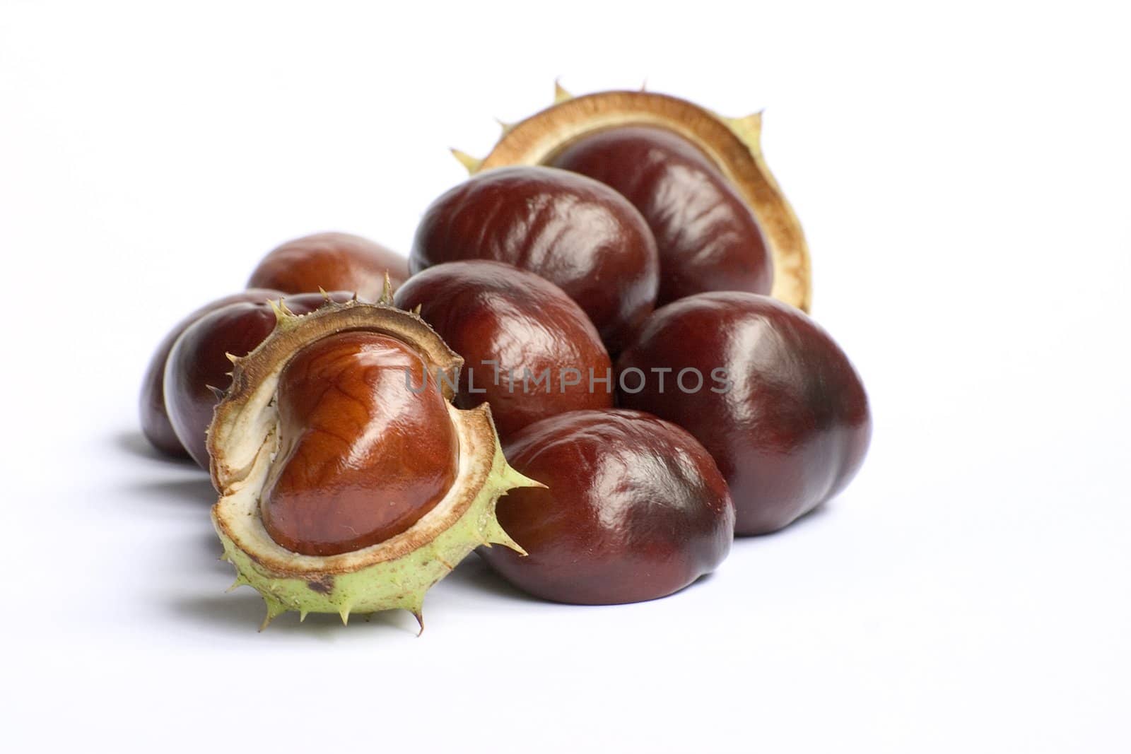 Bunch of chestnuts isolated on a white background.