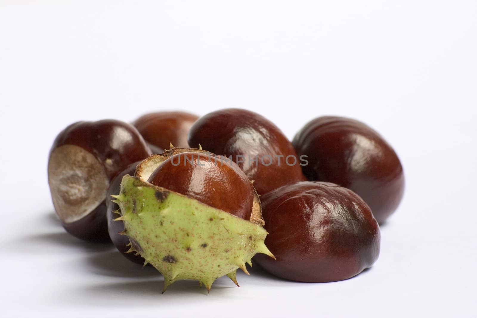 Bunch of chestnuts isolated on a white background. by miradrozdowski