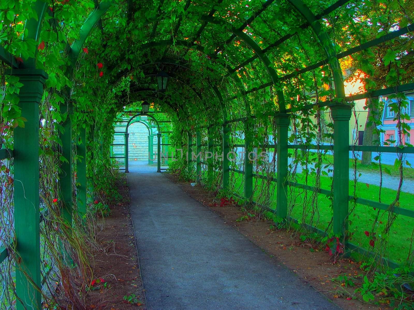 green lane arches and plants, kadriorg park