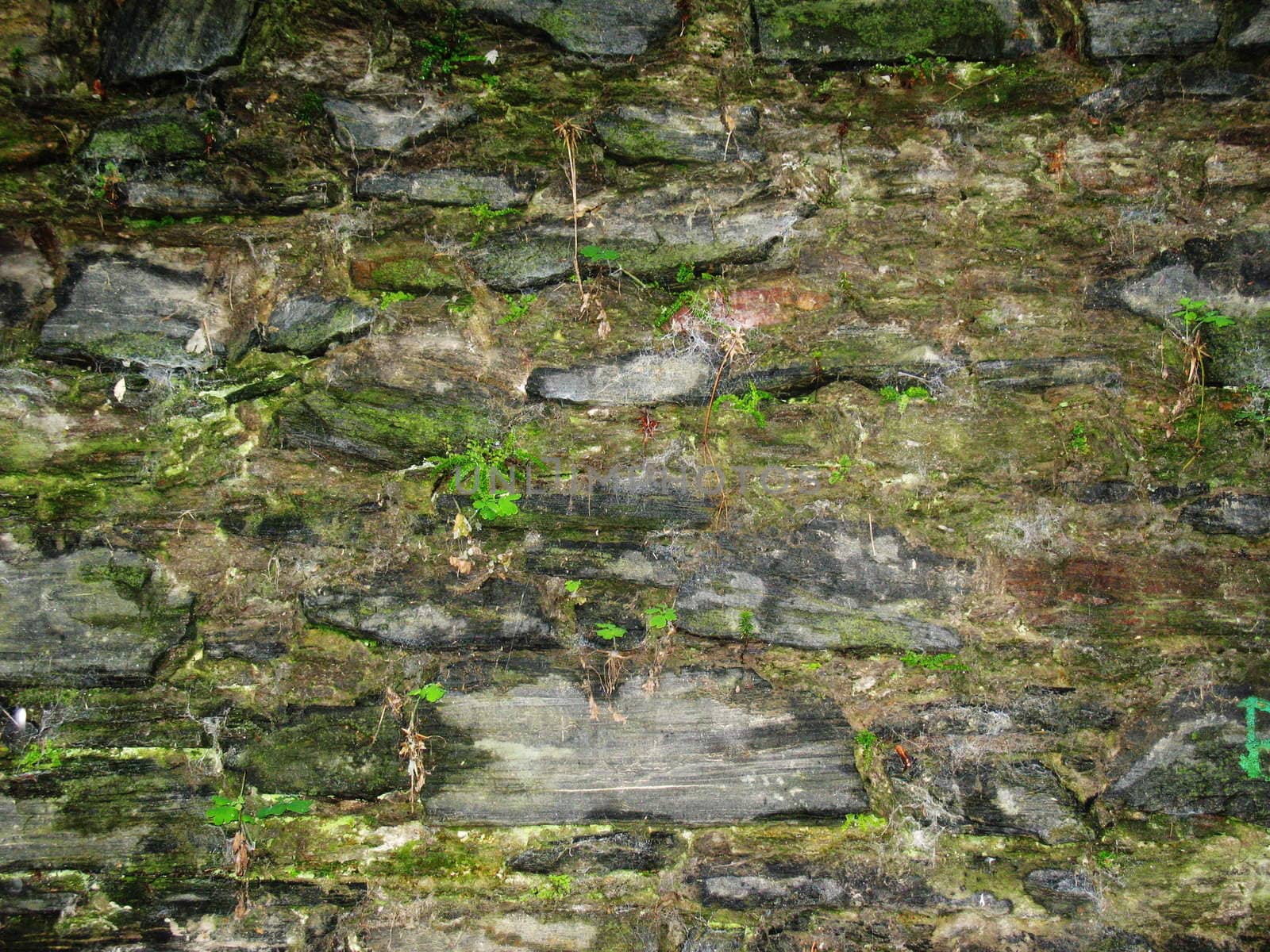 Old stone ruined wall background