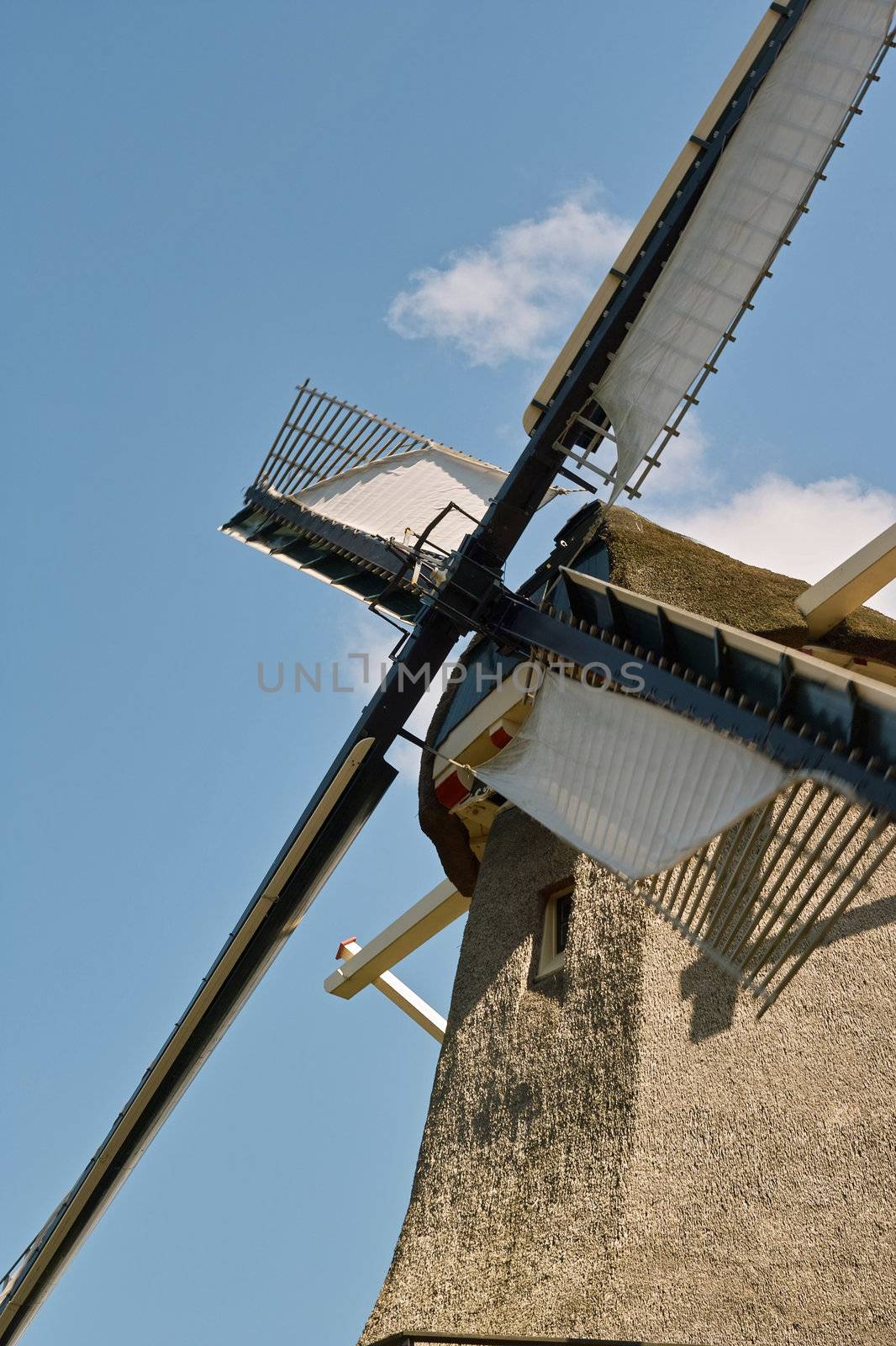 The Dutch windmill, the Zandhaas (the Sand-hare) on a sunny day. The windmill is still used for wheat grinding on a daily basis.