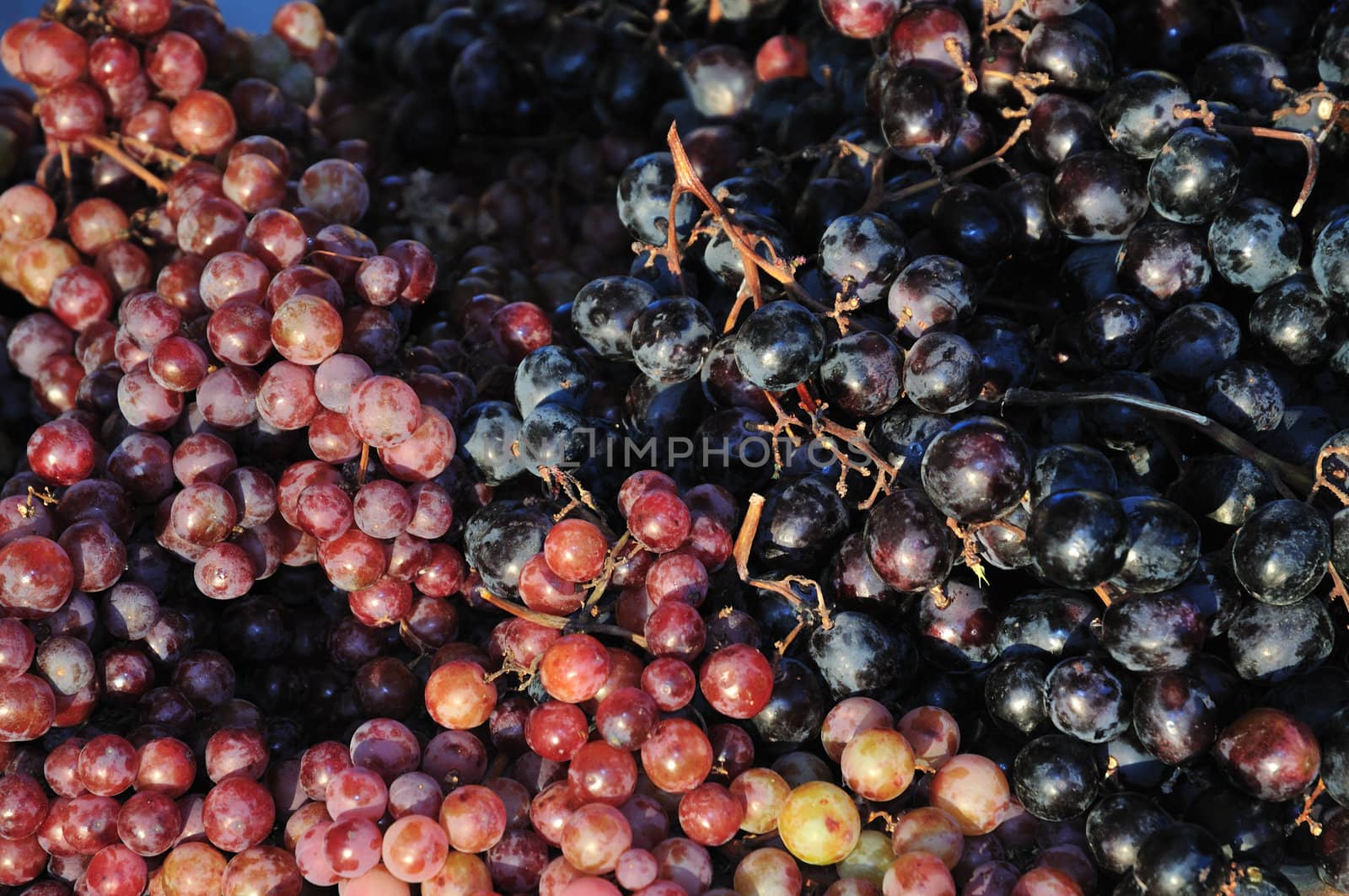 A large heap of red and black grapes at a farmer's market