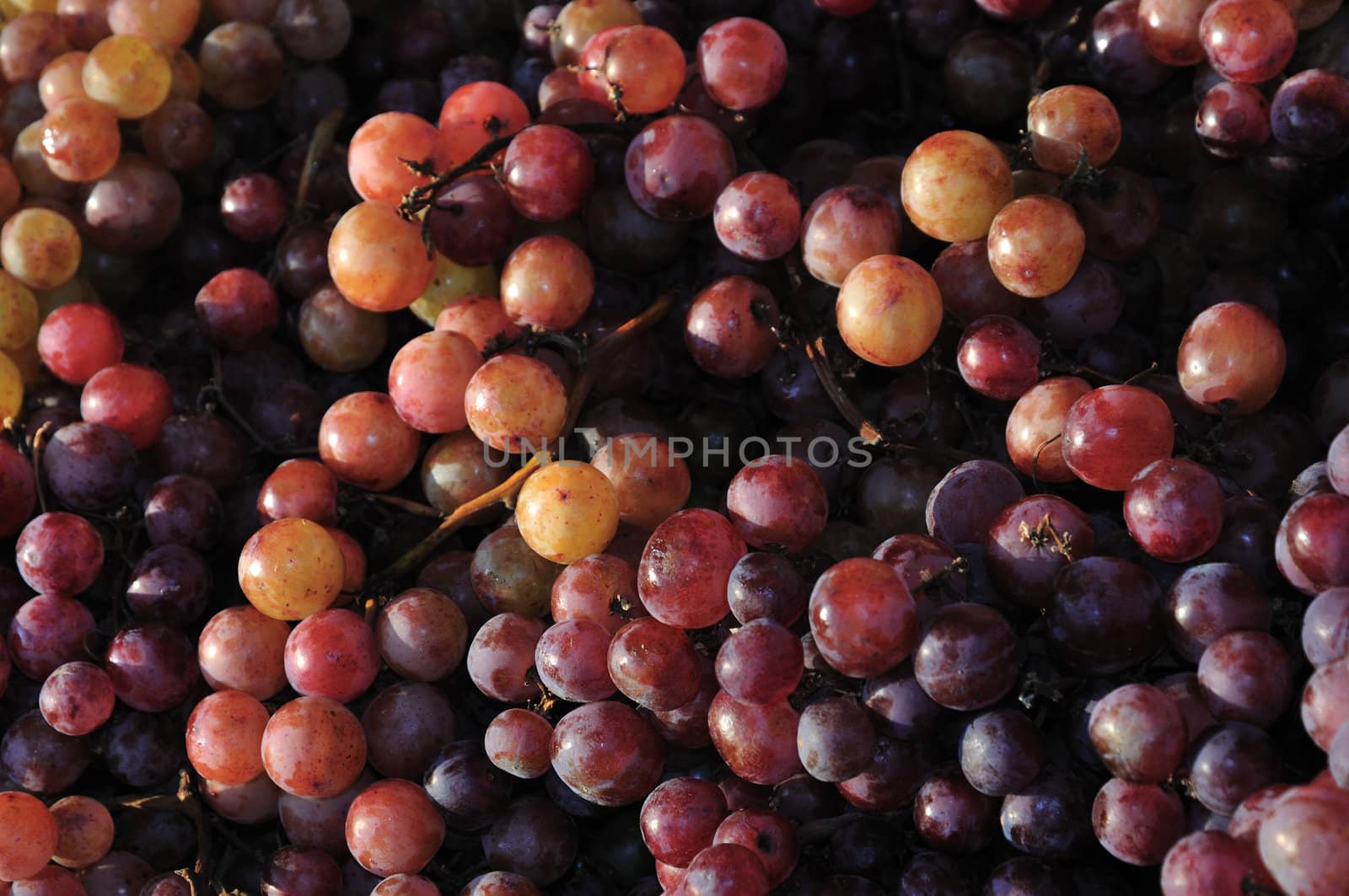 A pile of red grapes at a farmer's market