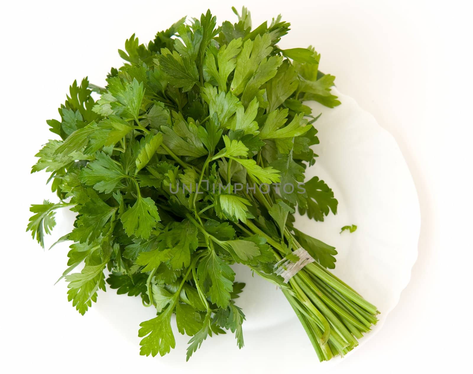 Fresh green parsley a white plate on a white background.