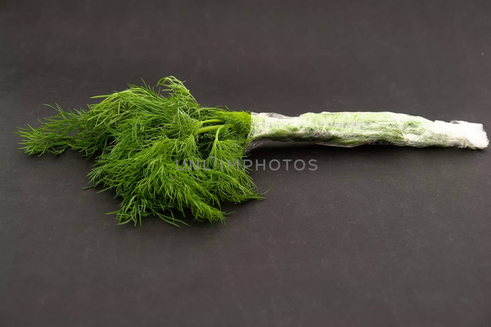 Fresh green dill on a black background