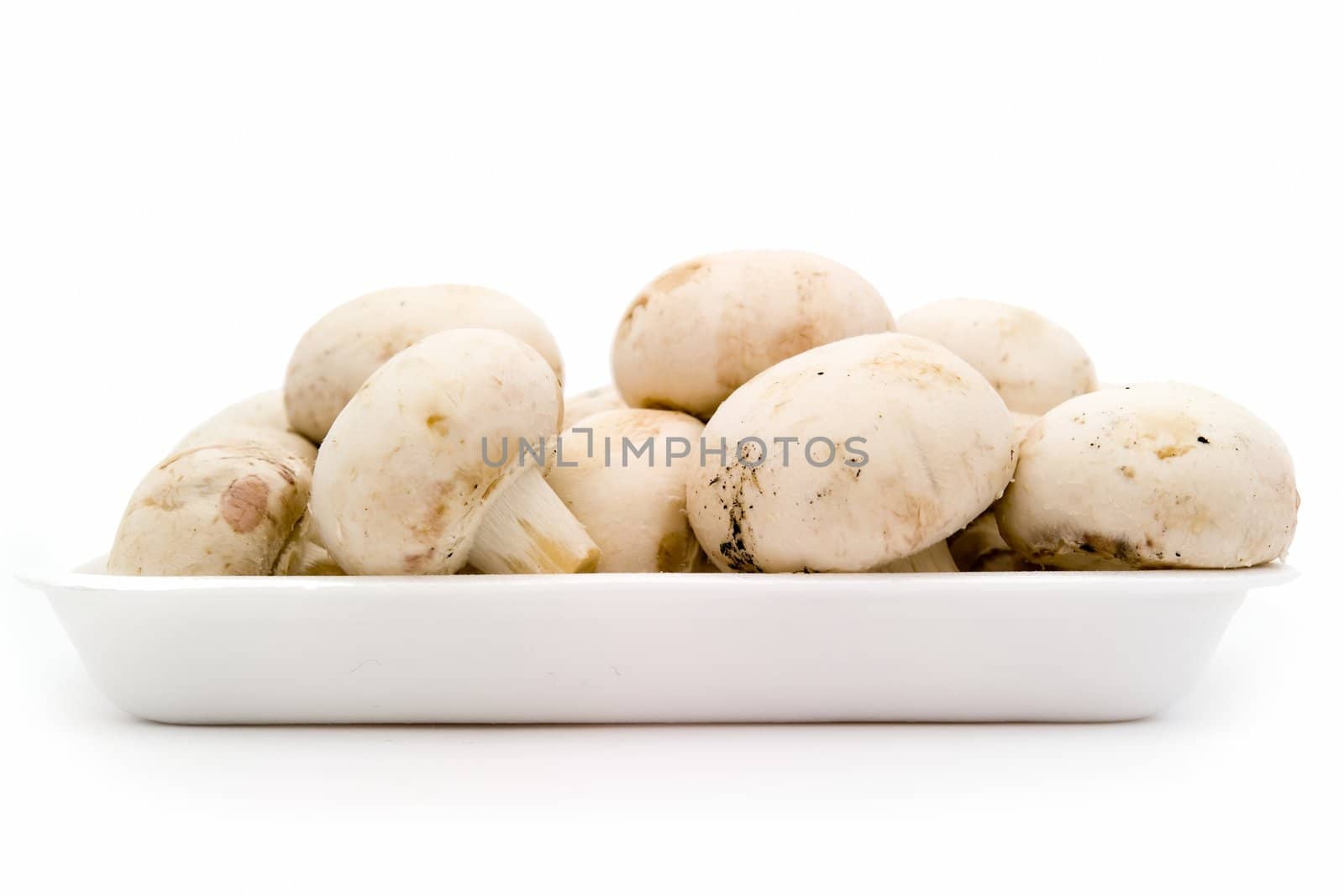 Mushrooms. Heap of champignons on a white background