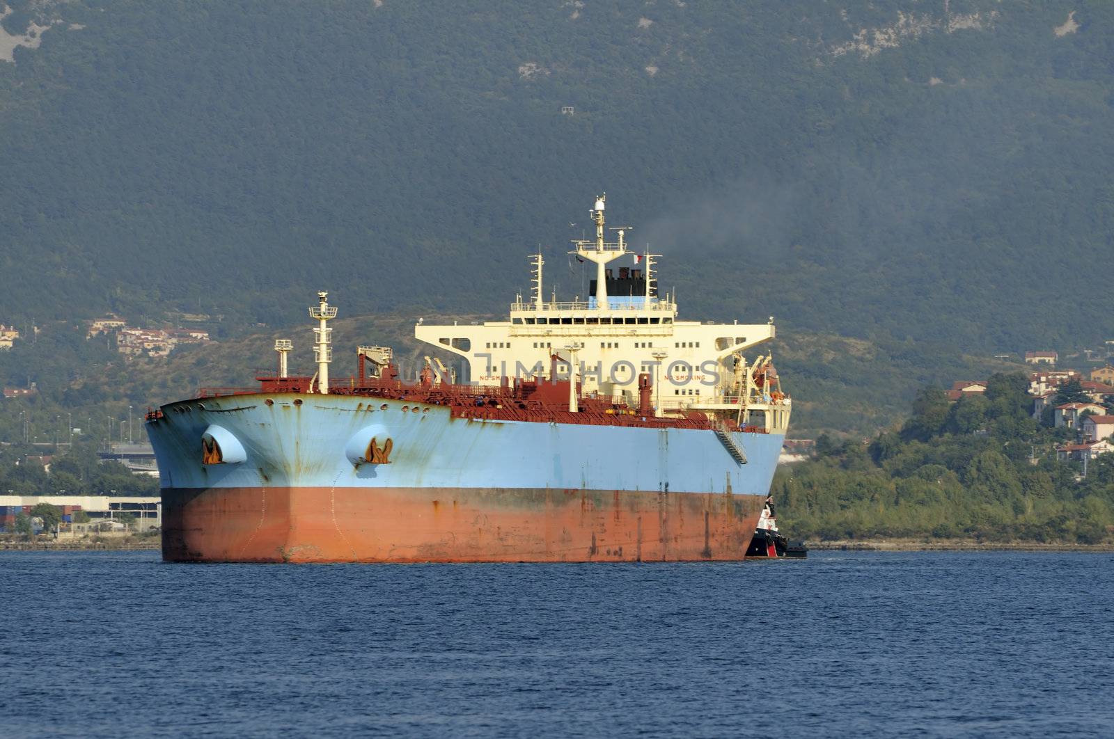 Merchant ship navigating near the coastline