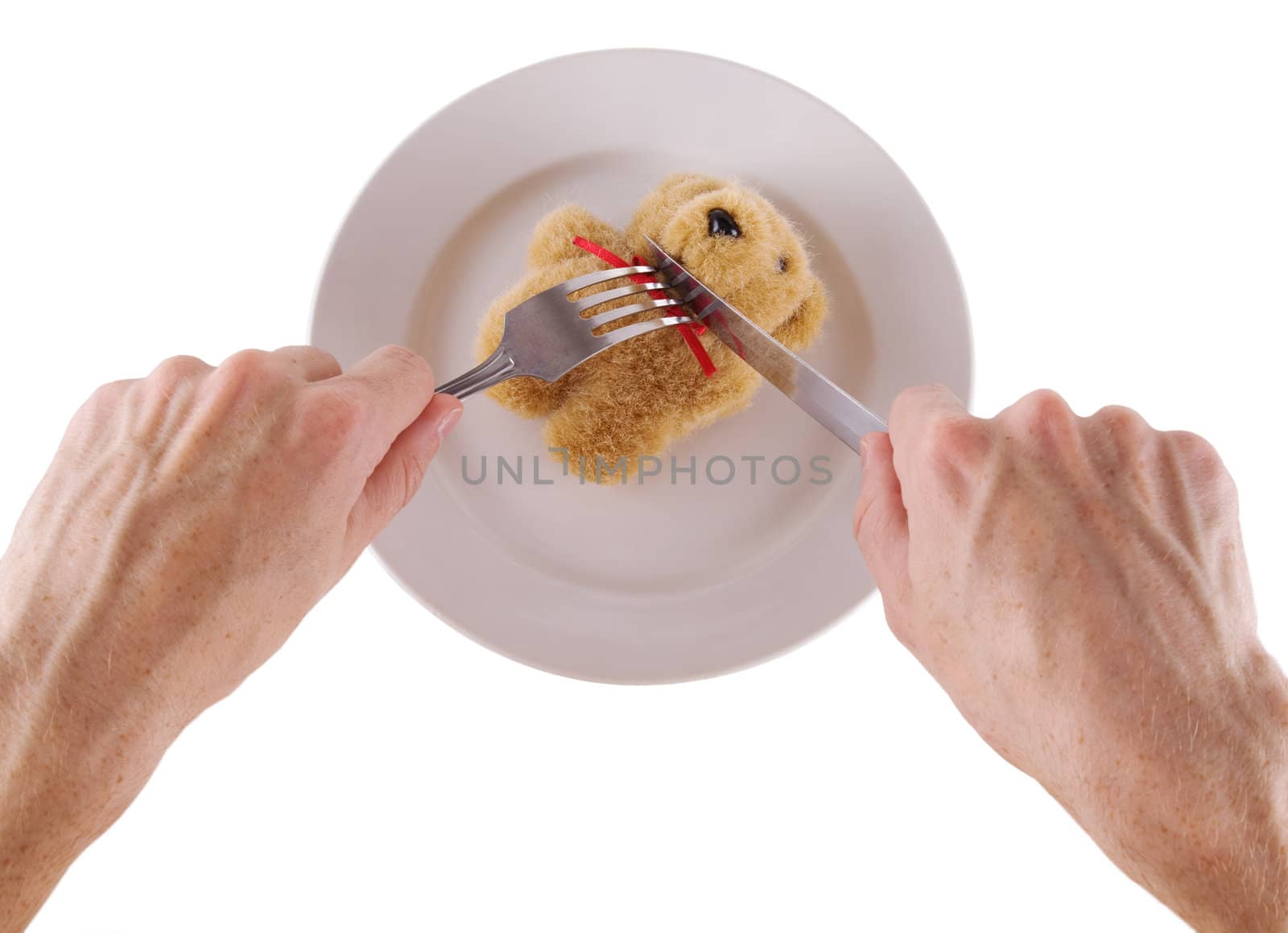 Eating of a toy bear cub on a plate