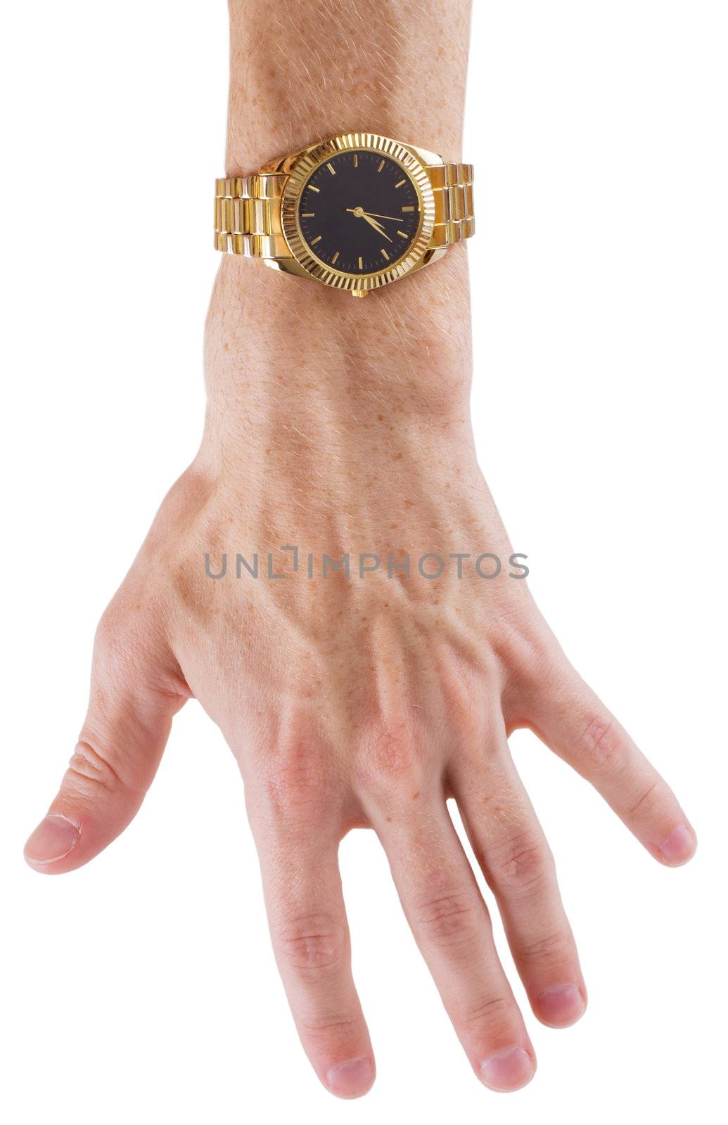 Man's hand with gilt watch on a white background