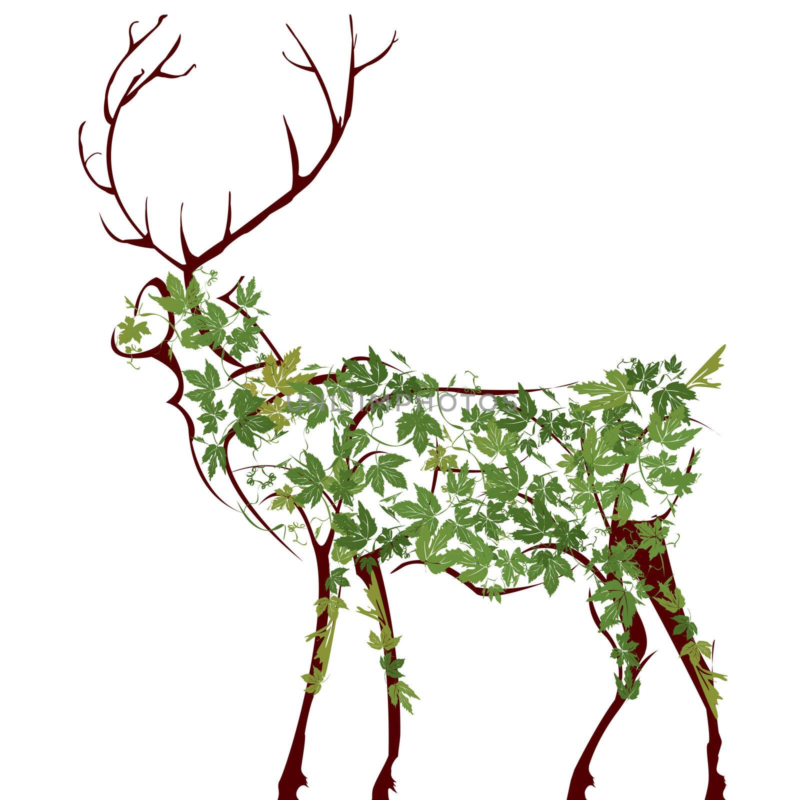 Deer illustration by Lirch