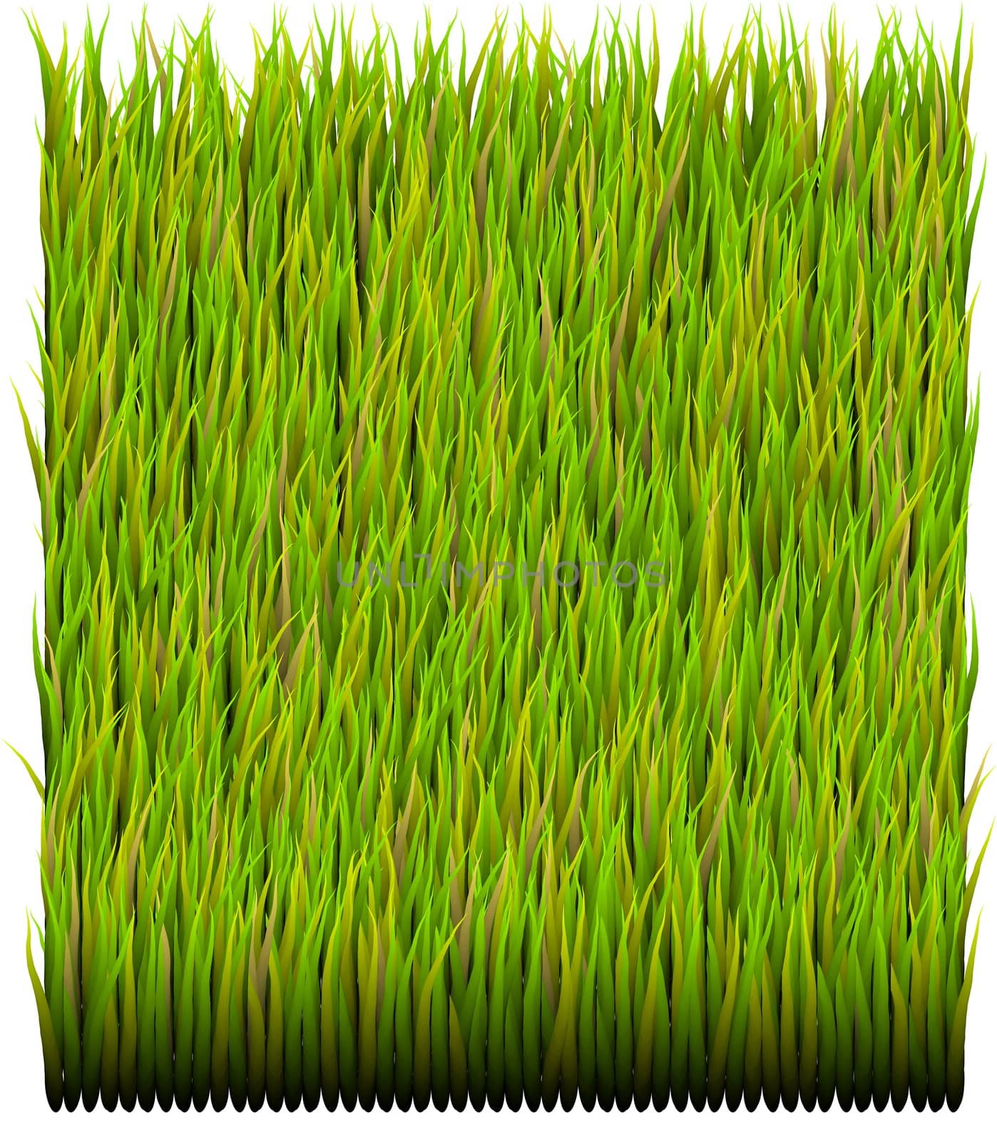 Green Grass Patch Background by kentoh