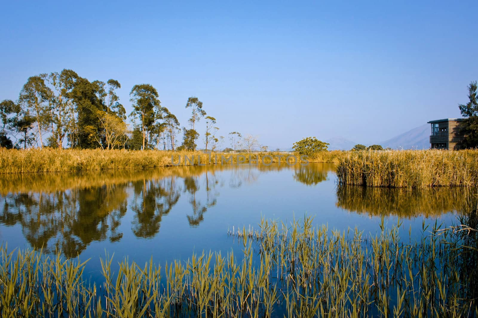 Hong Kong Wetland Park