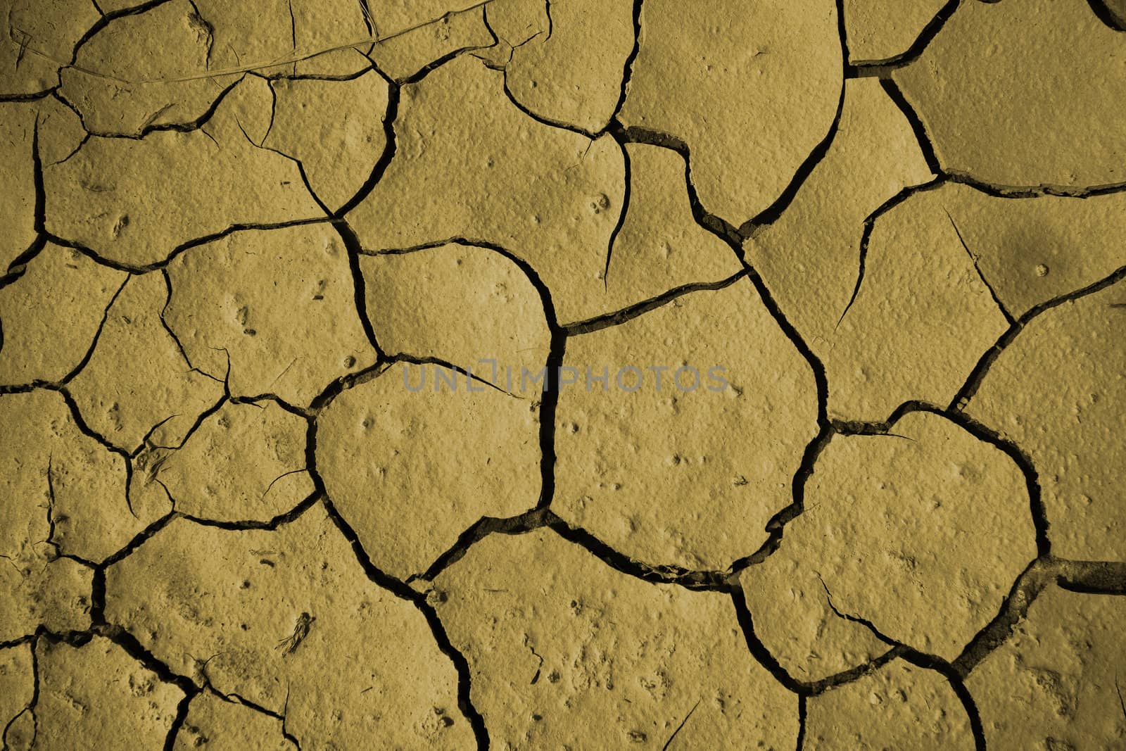 dried land