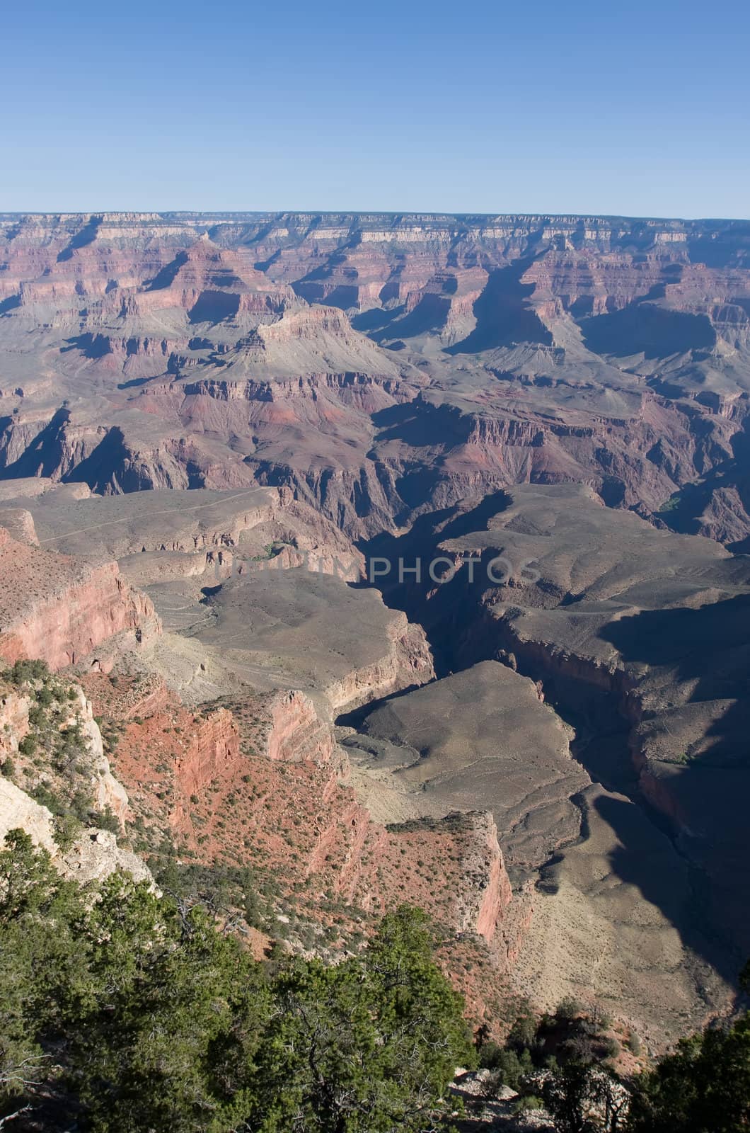 Grand Canyon with green trees and blue sky