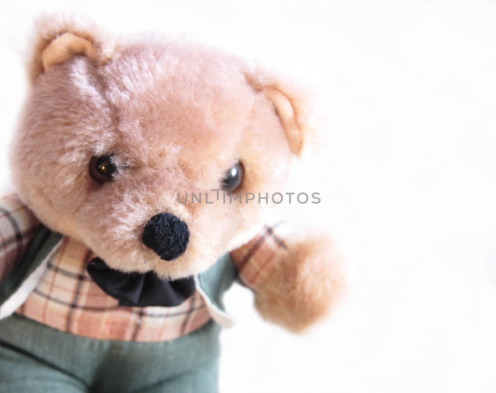 teddy bear in a green suit and checked shirt