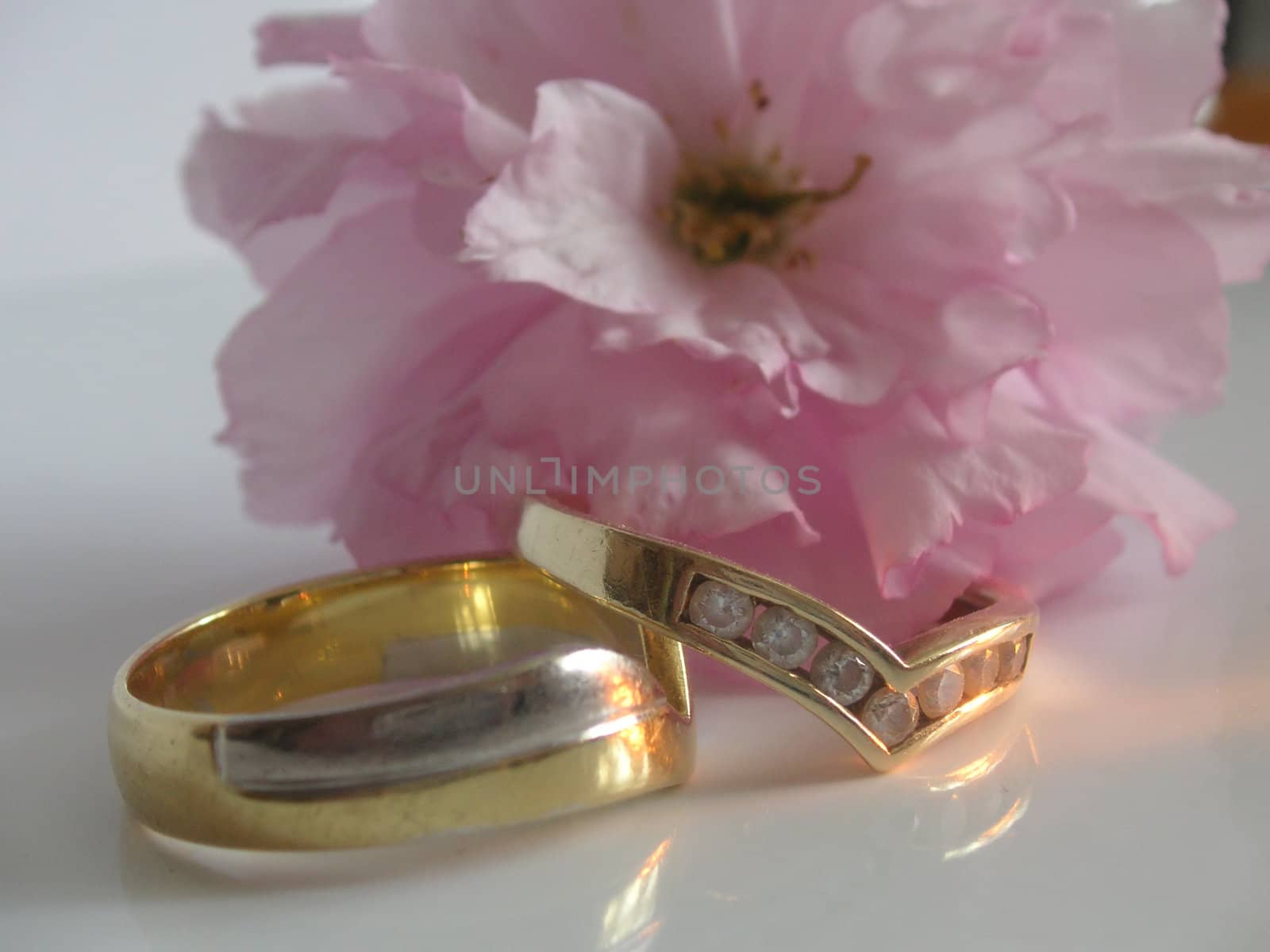 two rings and a pink cherry blossom flower depicting a spring wedding