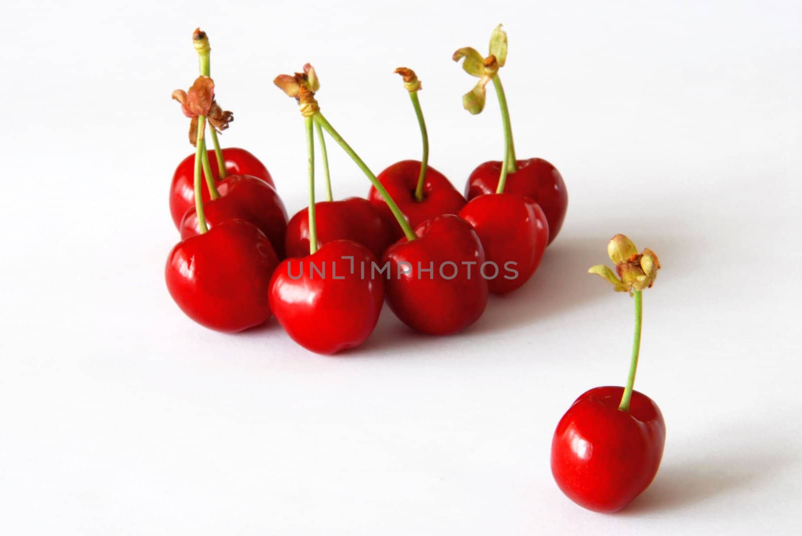 Sweet cherries by Yaurinko