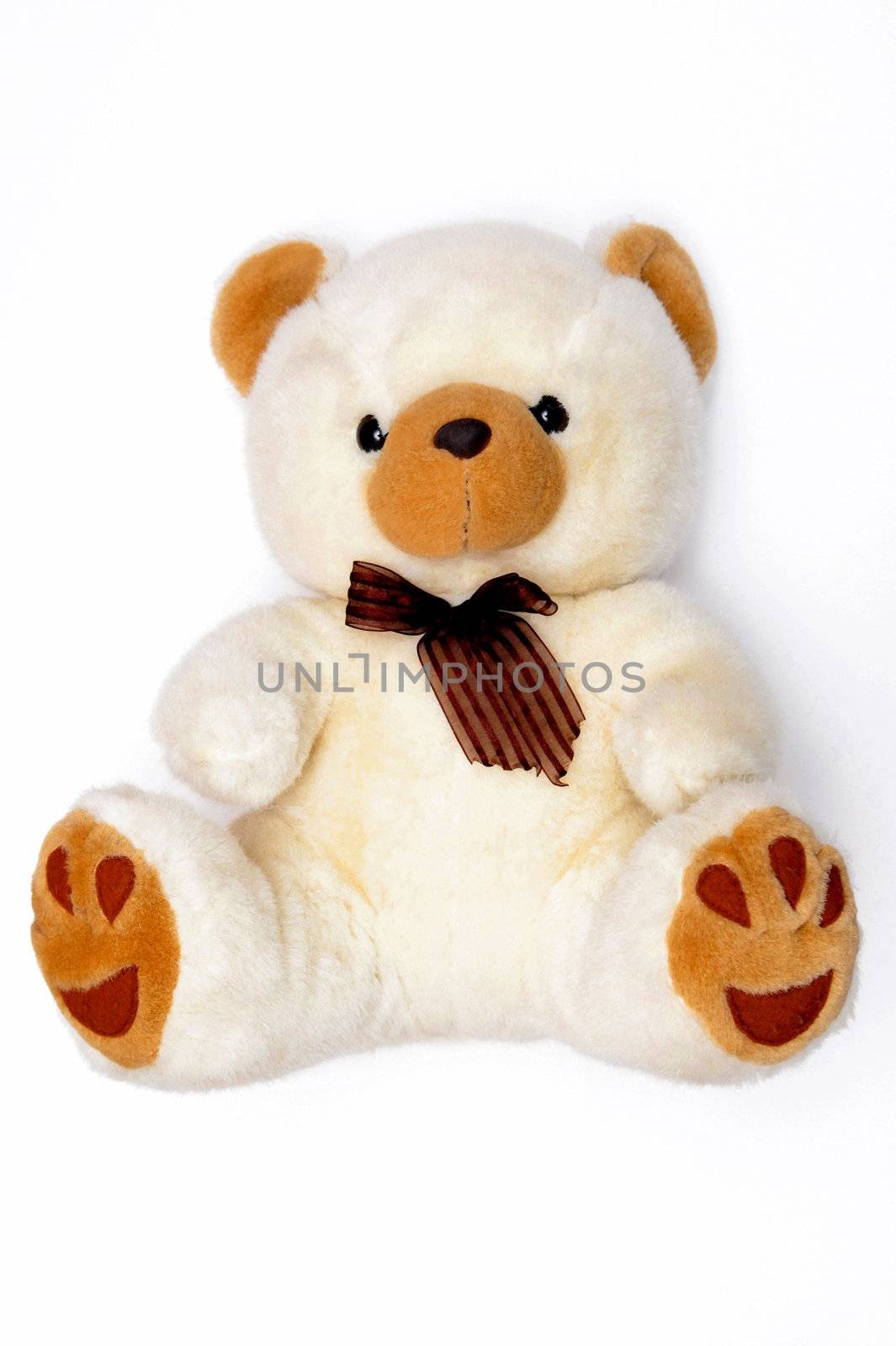 Teddy bear by Yaurinko