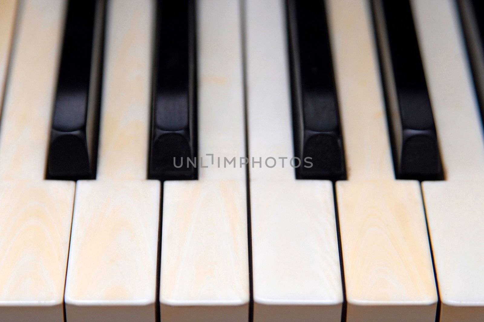 Close-up of the piano