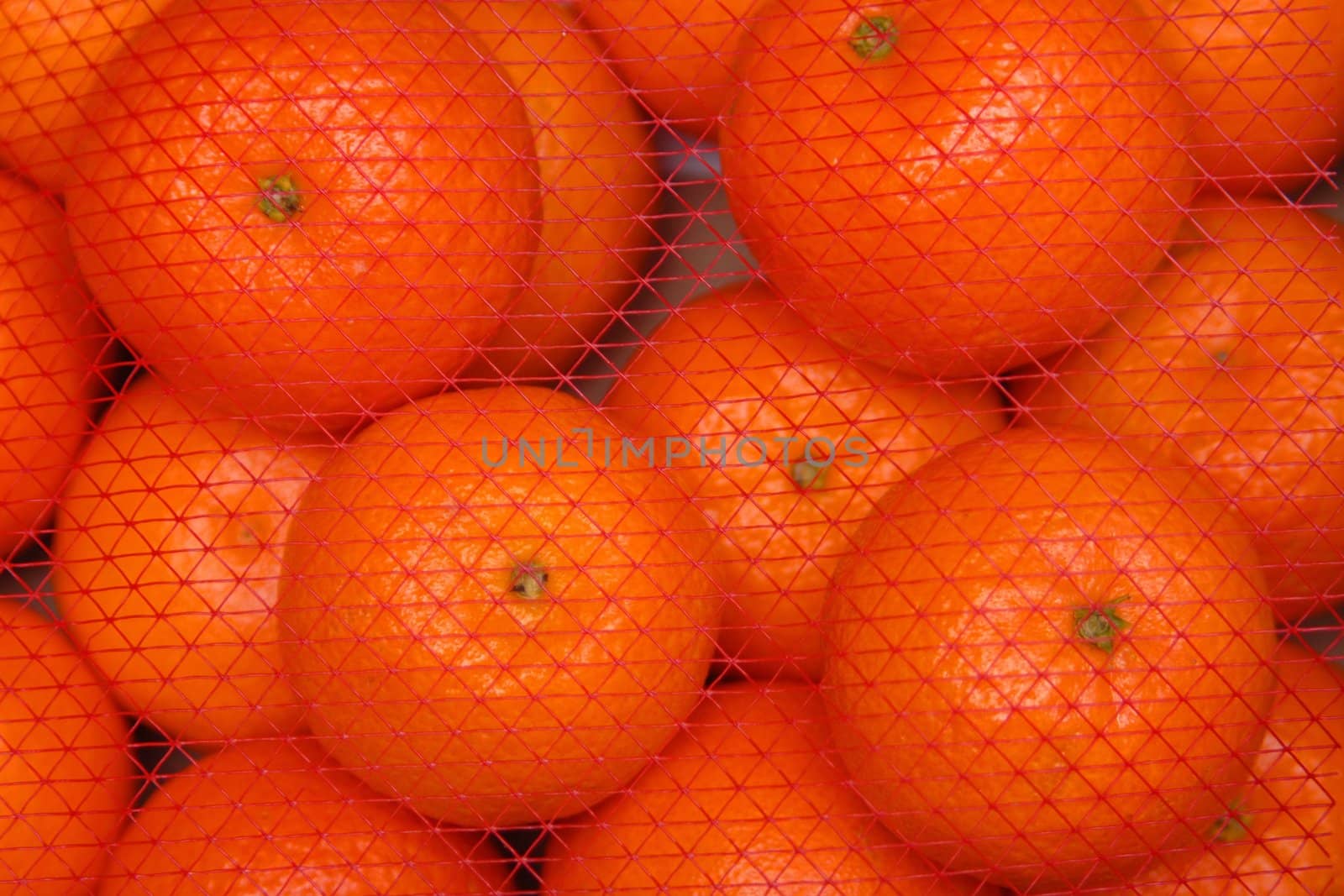 Mandarin oranges by Yaurinko
