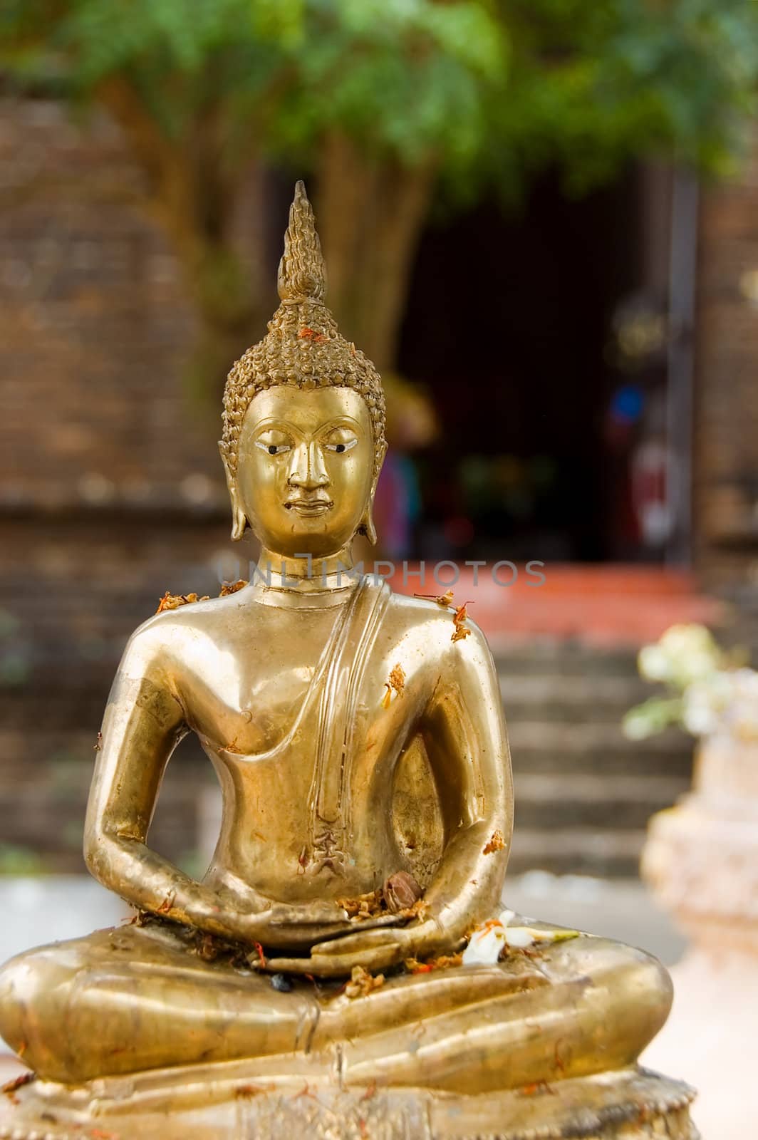 golden buddha statue by jsompinm