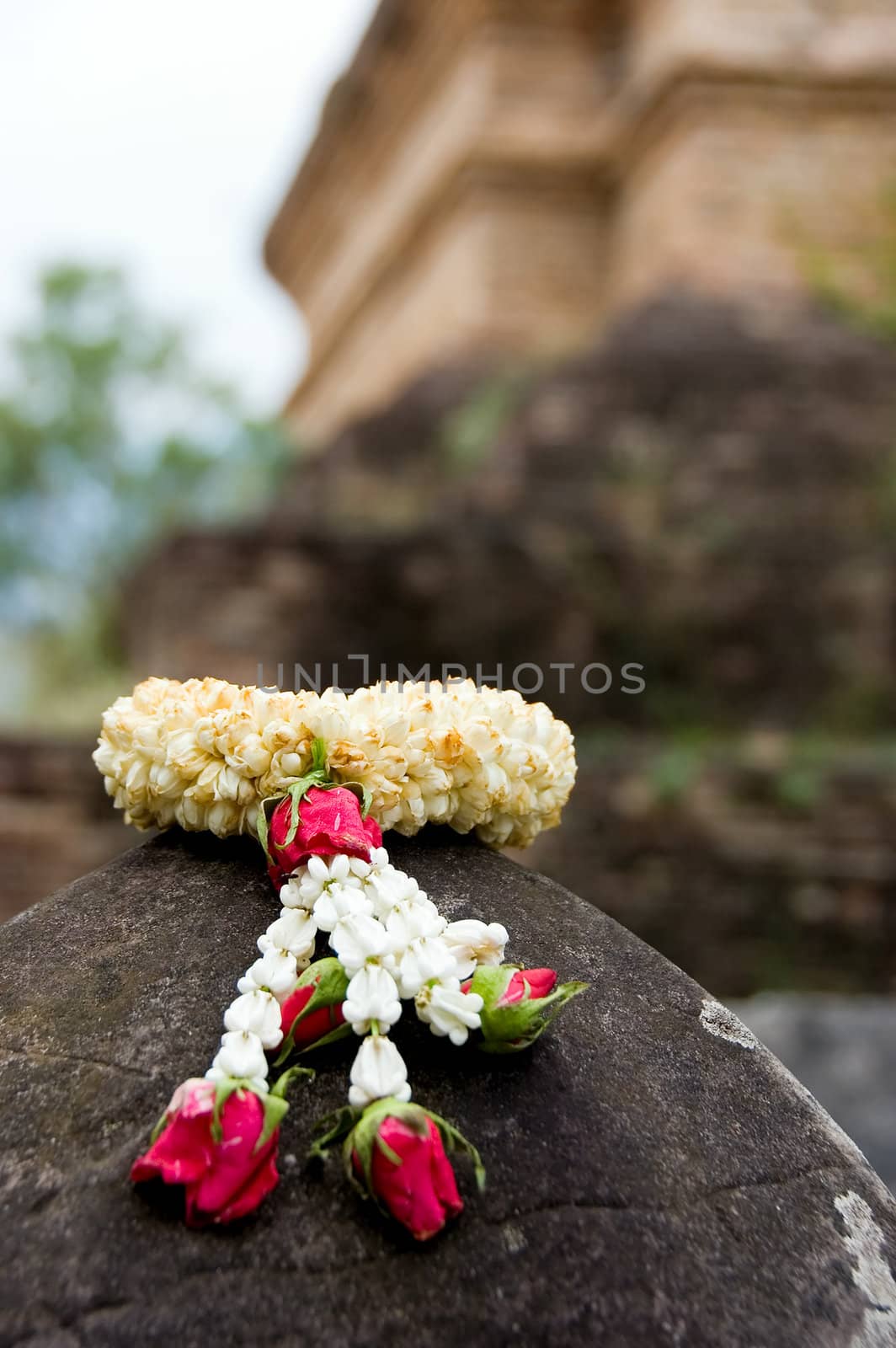 buddhist flower offerings by jsompinm
