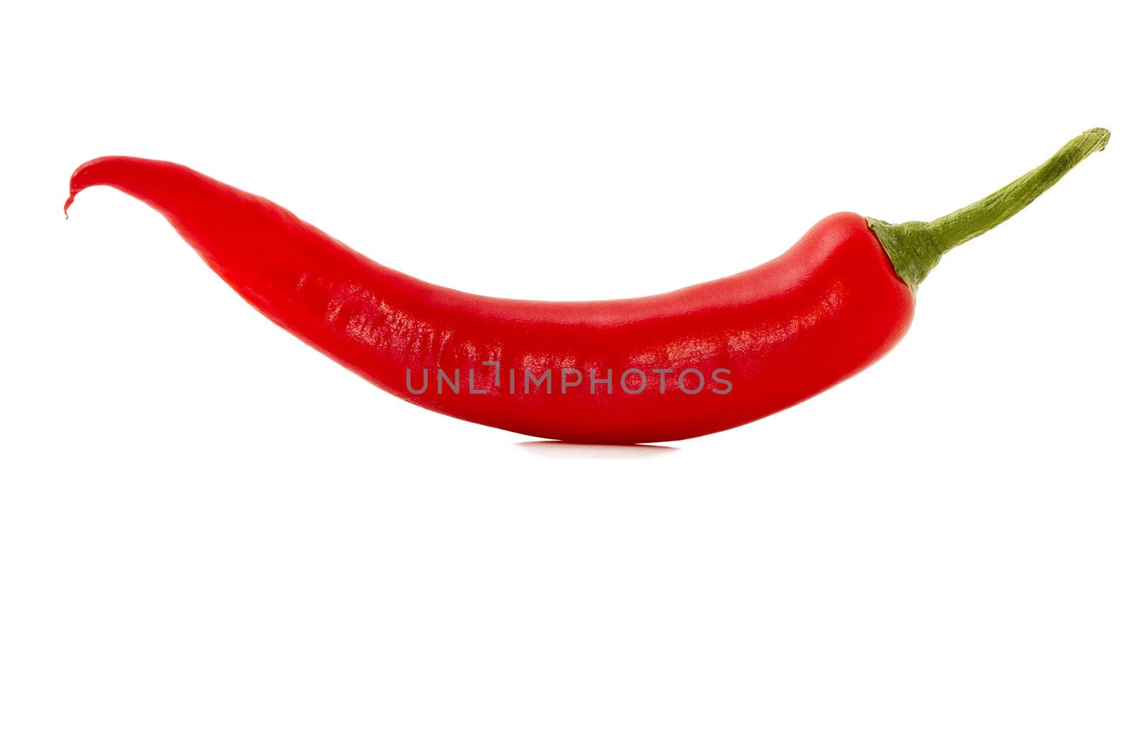 one red chili isolated on white background