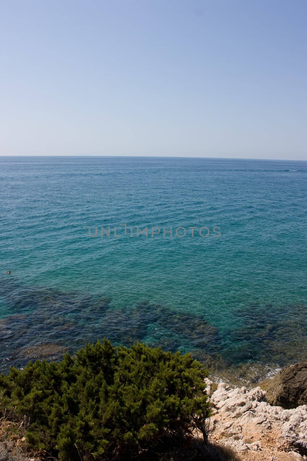 Looking out to sea, tree and rocks from the top of a rocky cliff. Italy.