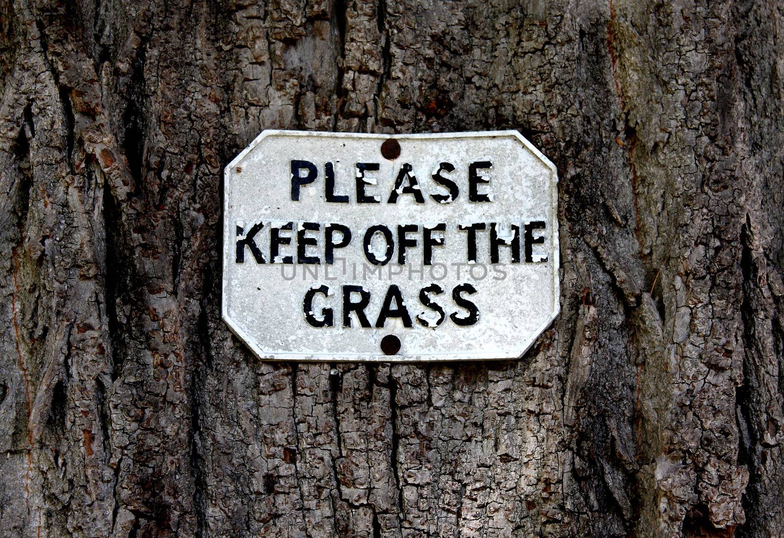 Please Keep Off The Grass by tommroch