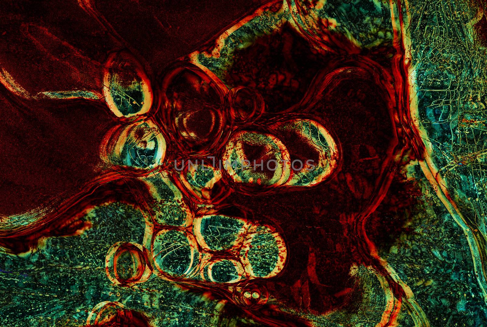 Close-up of the inorganic matter