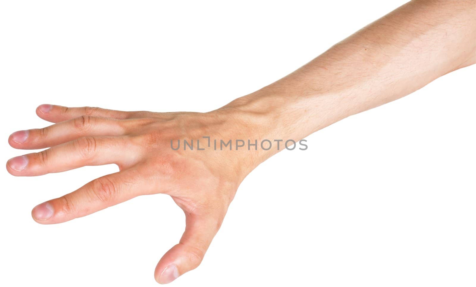 Man's hand isolated on a white background