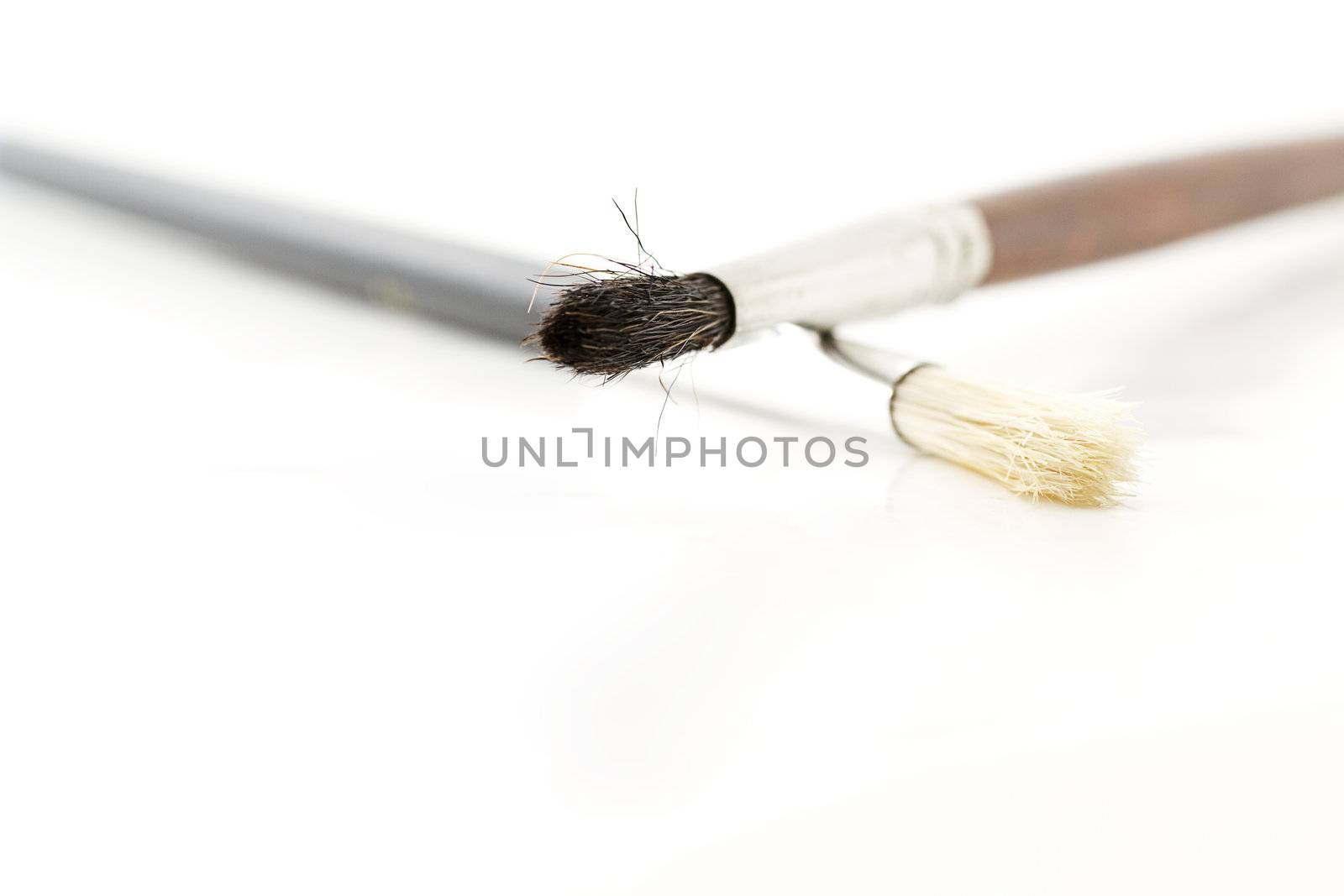 two brushes for artists on white background