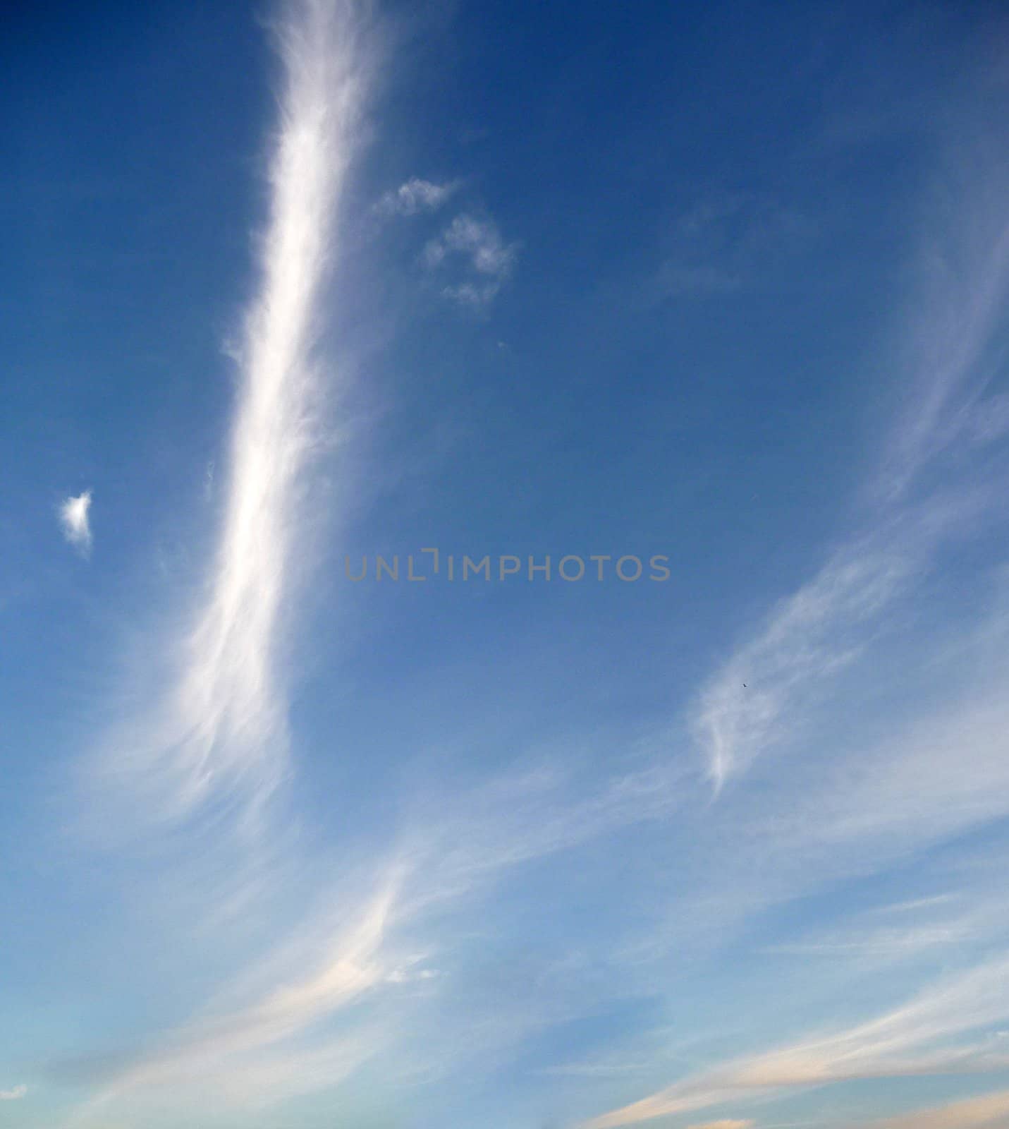 Some very wispy clouds high in the sky..