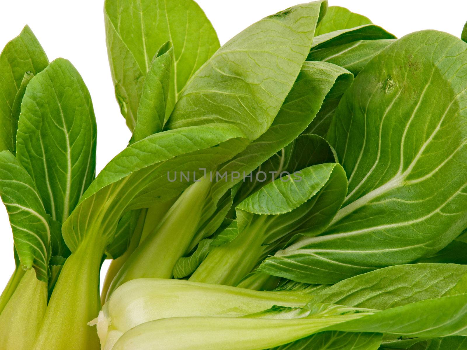 spinach cabbage by dotweb