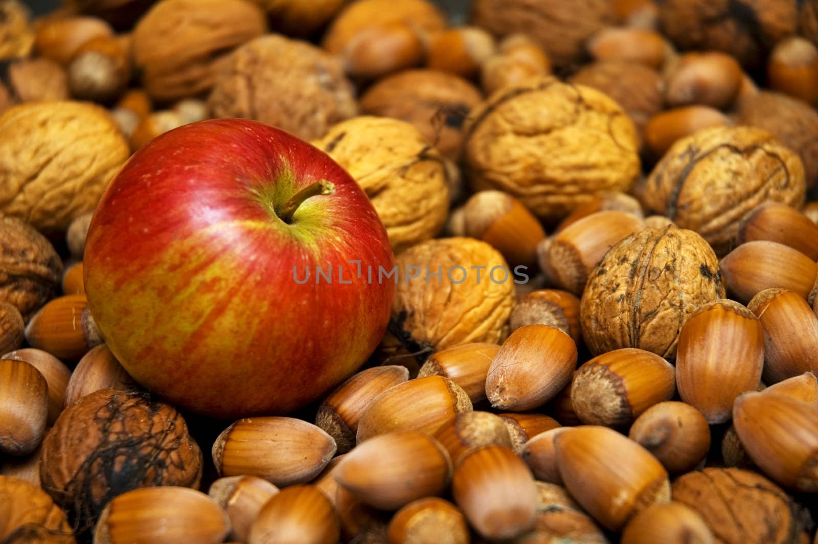 Apple and nuts by Michalowski