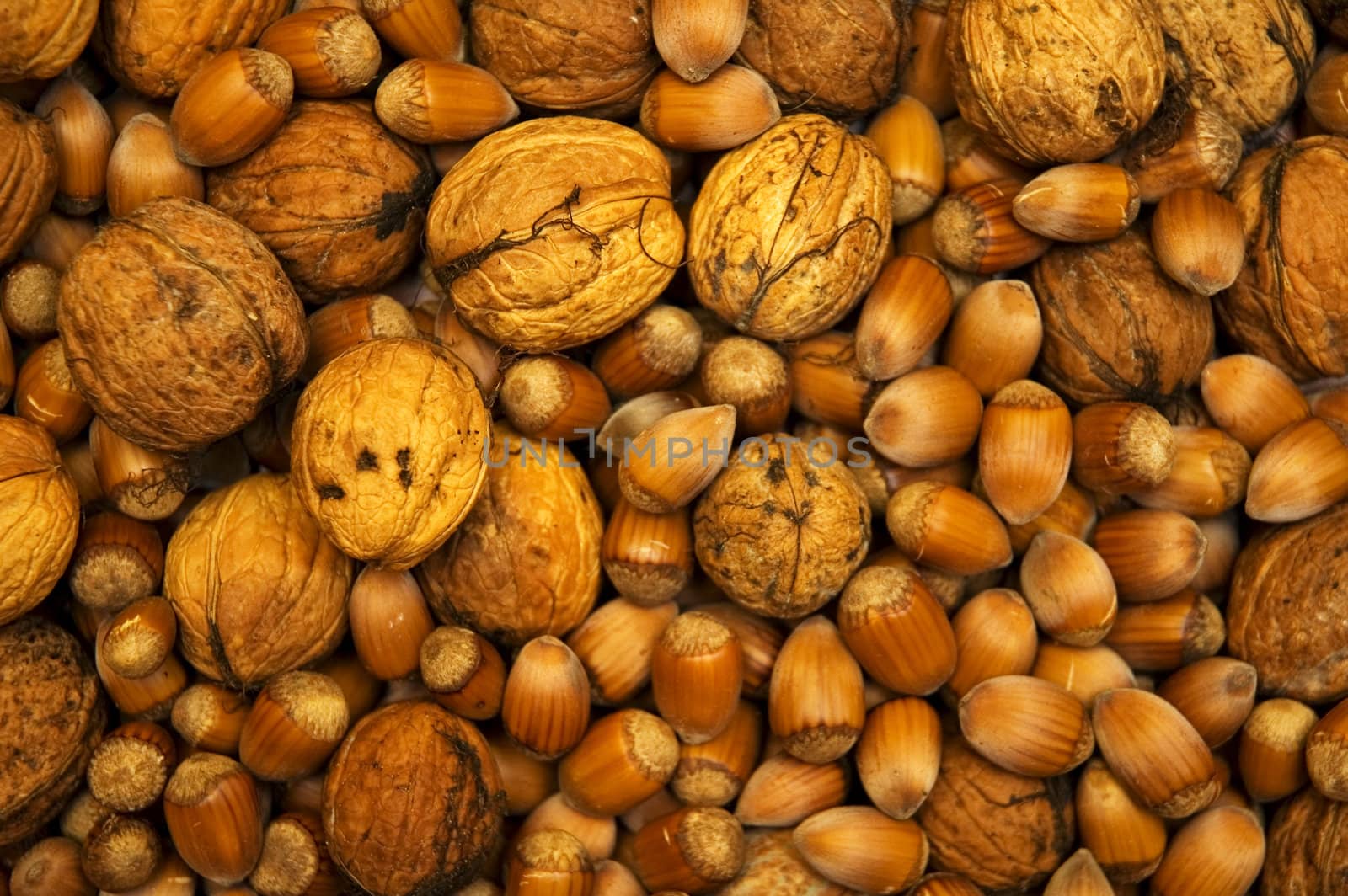 Walnuts and hazelnuts autumnal background