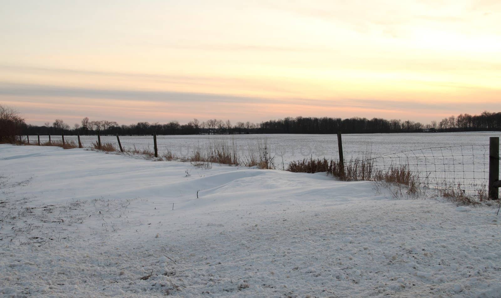 Evening Snow Field by jasony00