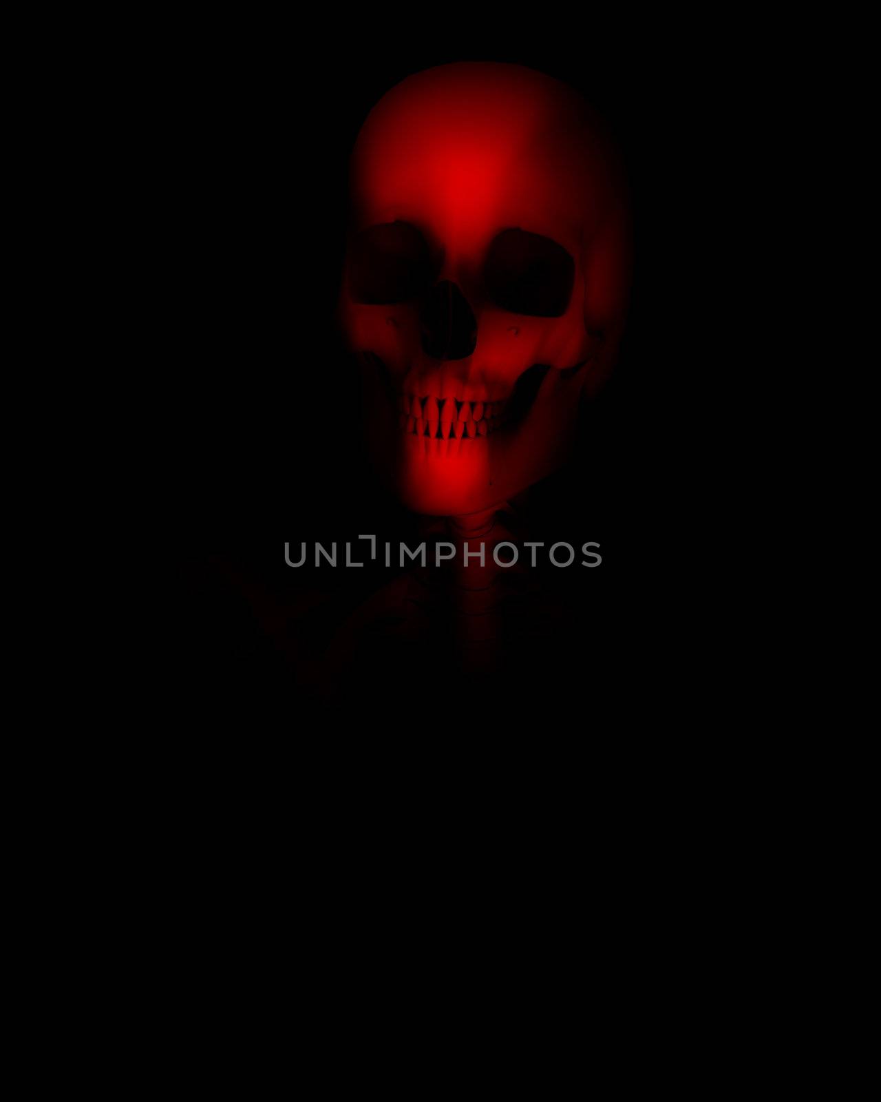An image of a Skelton that could be used for Halloween or medical concepts.