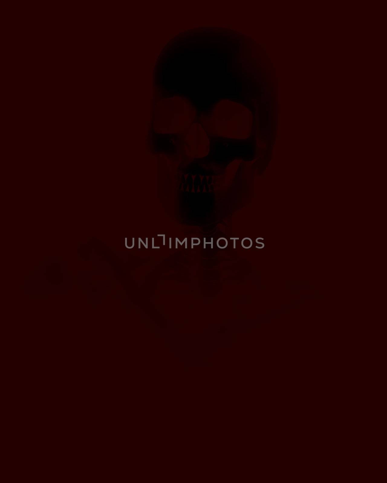 An image of a Skelton that could be used for Halloween or medical concepts.