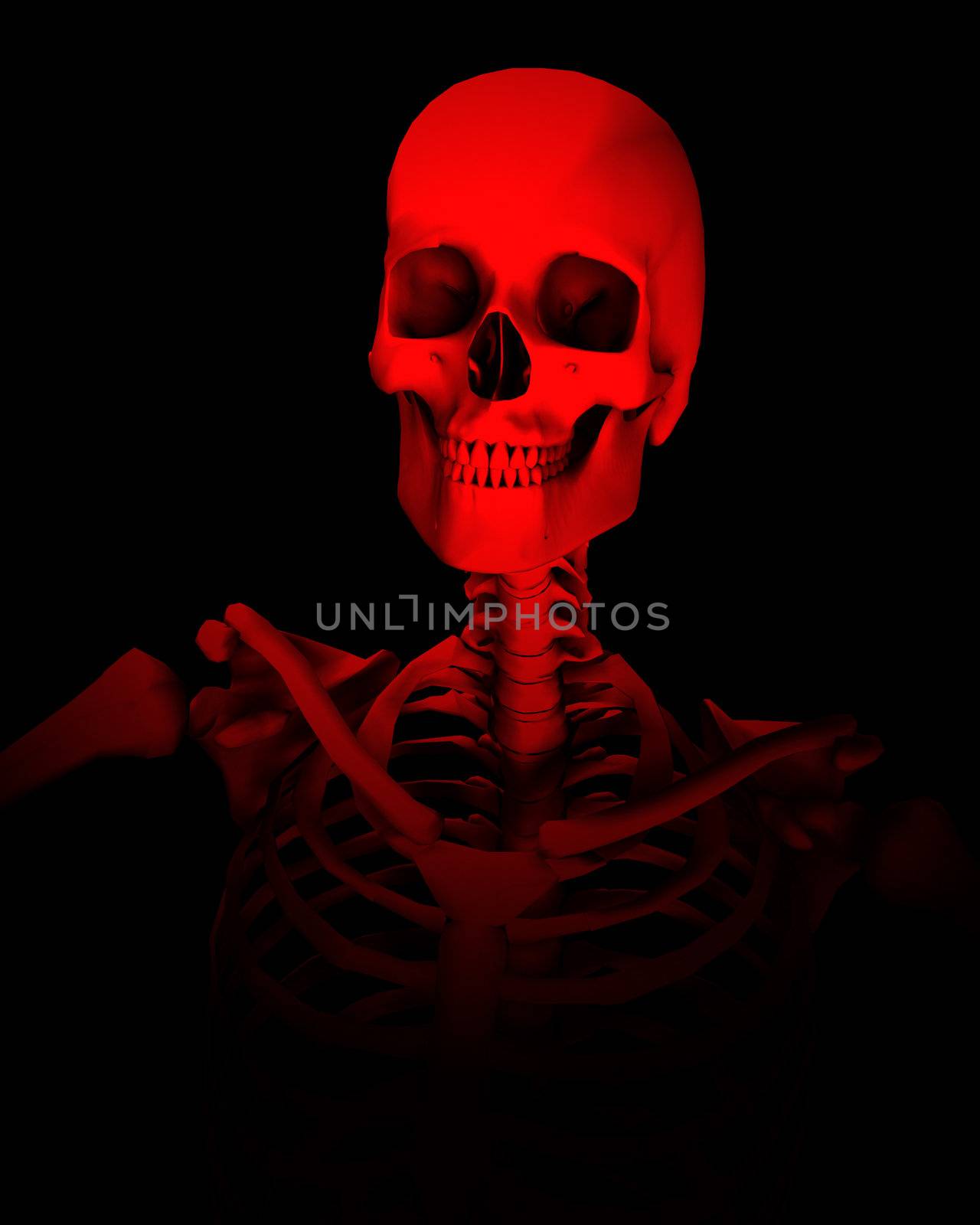 An image of a Skelton that could be used for Halloween or medical concepts.