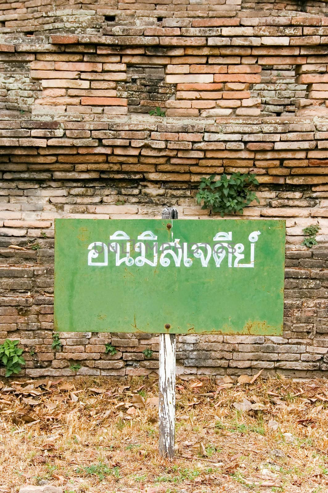 thai sign