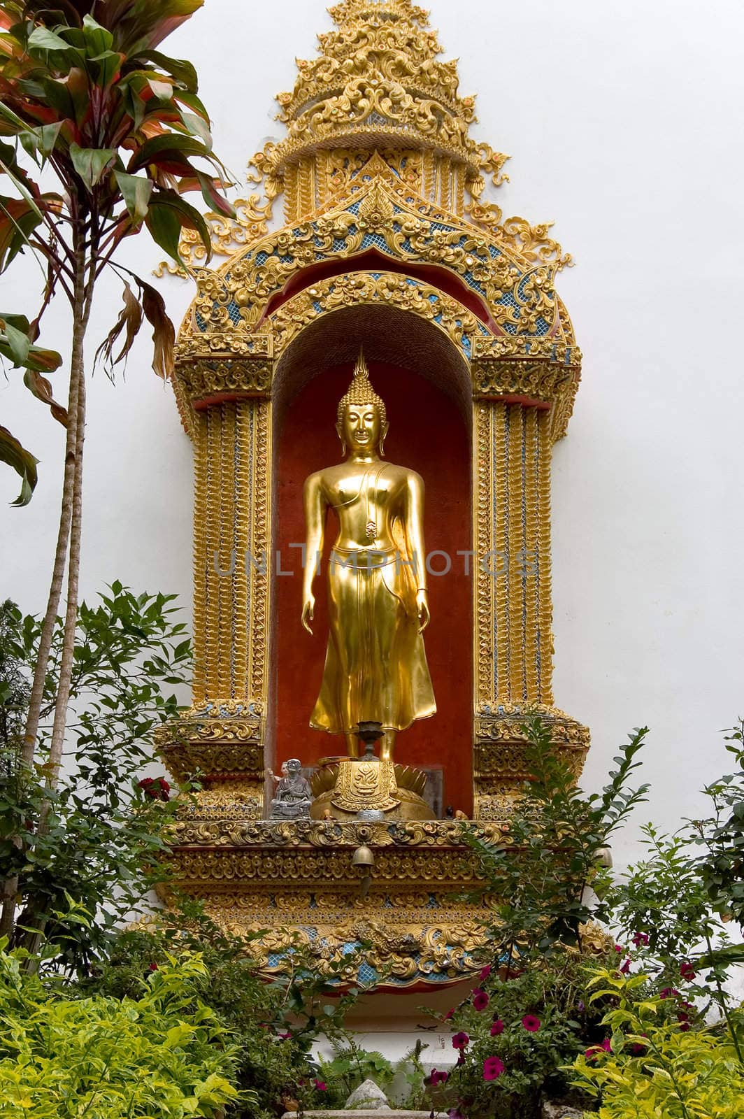 golden buddha