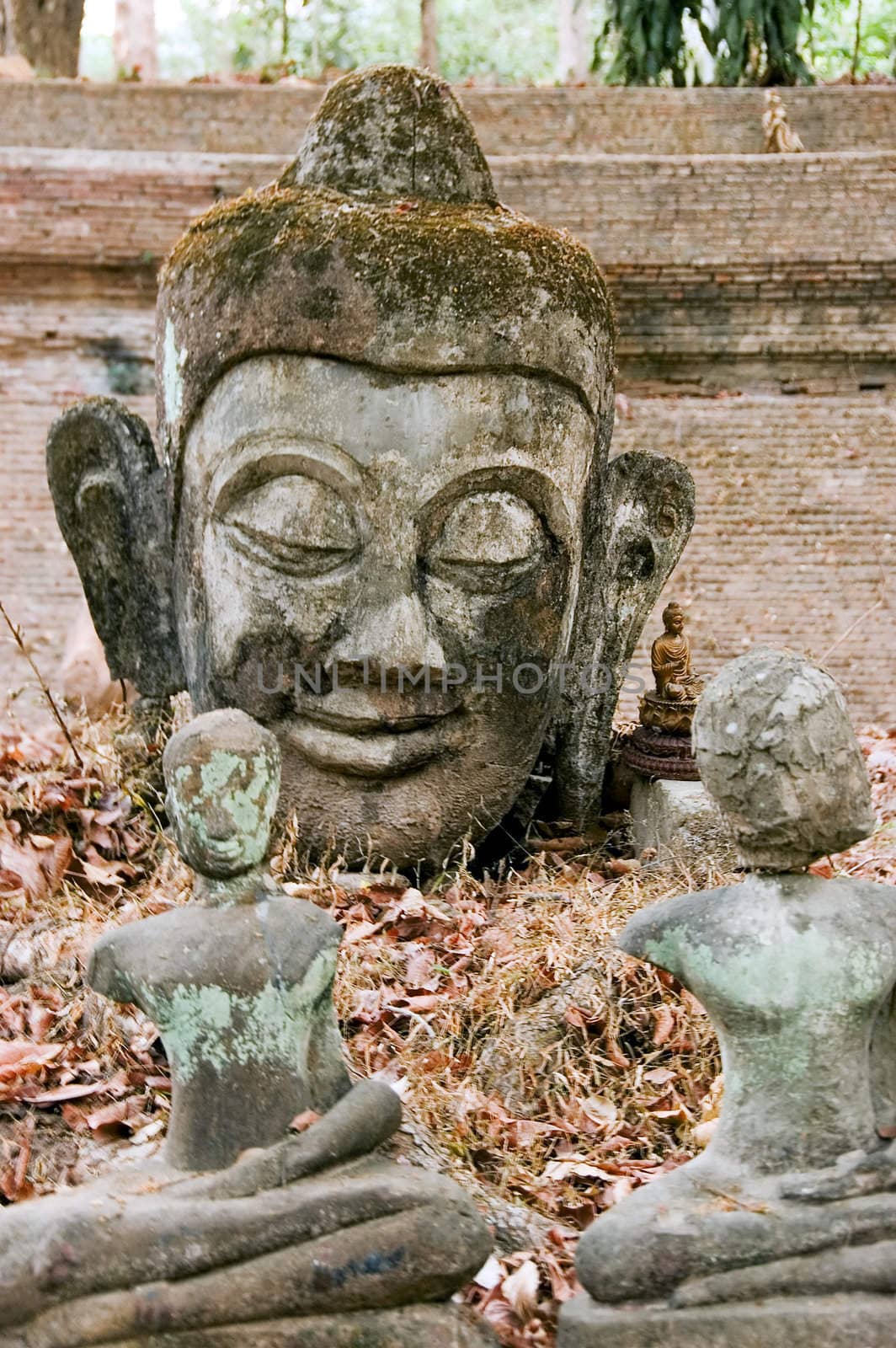 buddha statues by jsompinm