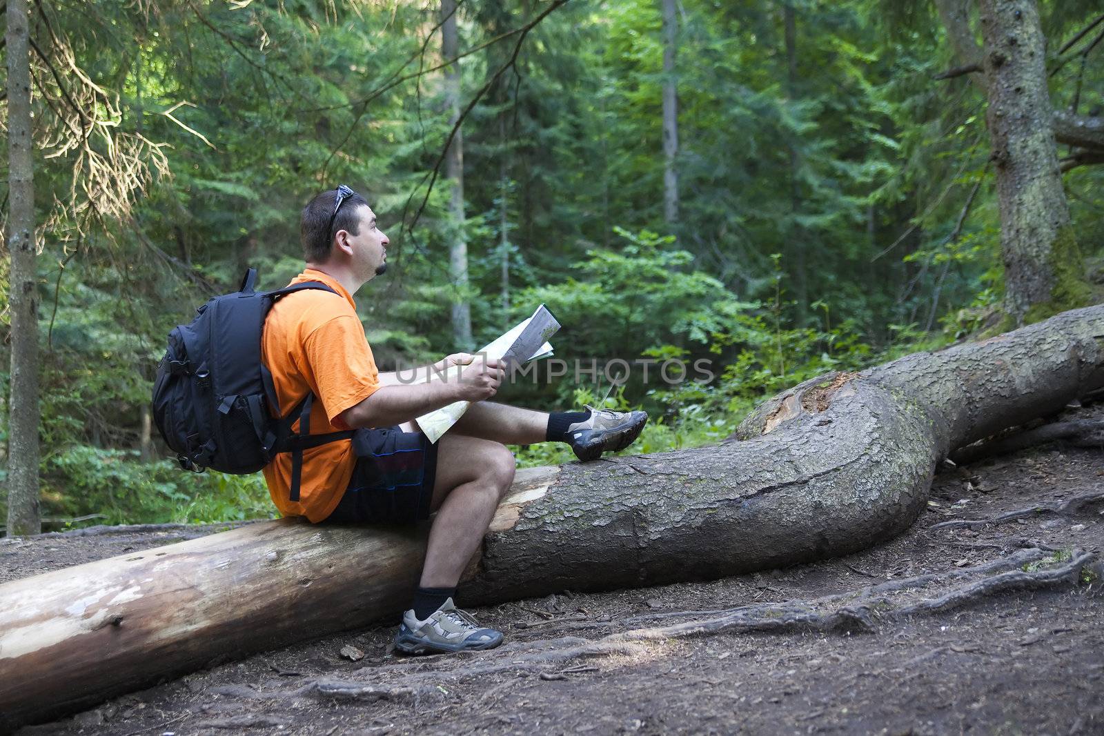 tourist reading a map - Slovak Paradise