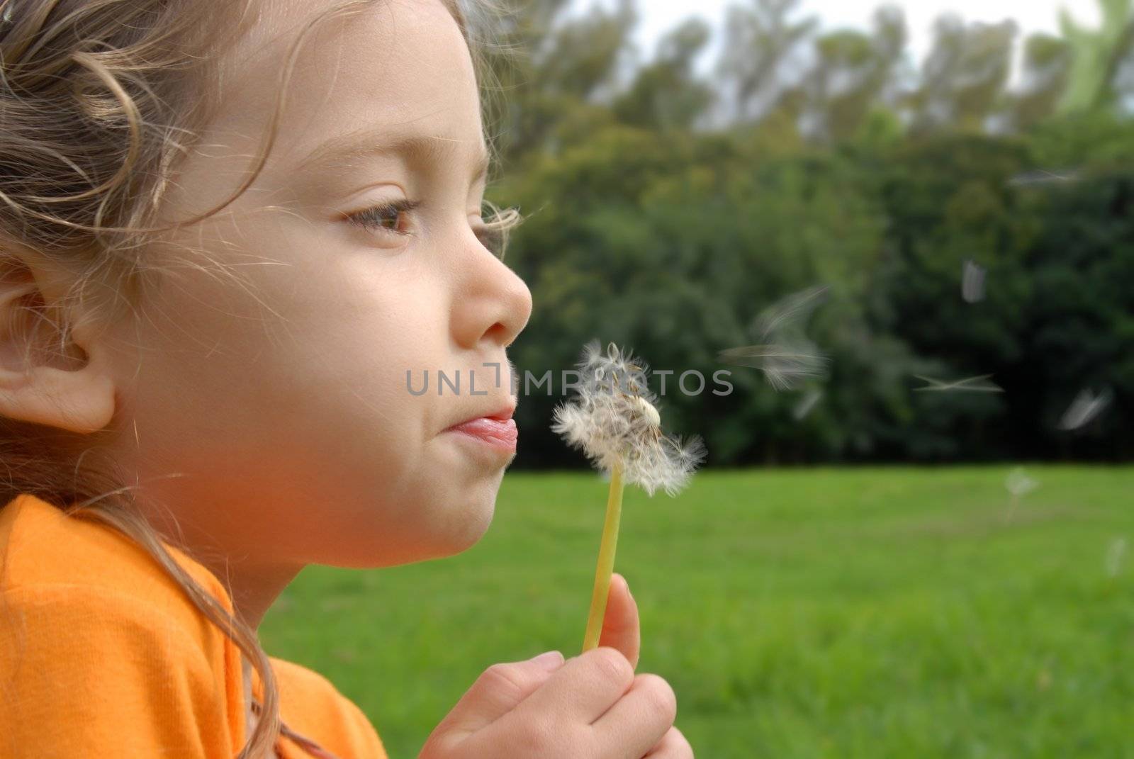 Litlle girl blowing a dandelion by cienpies