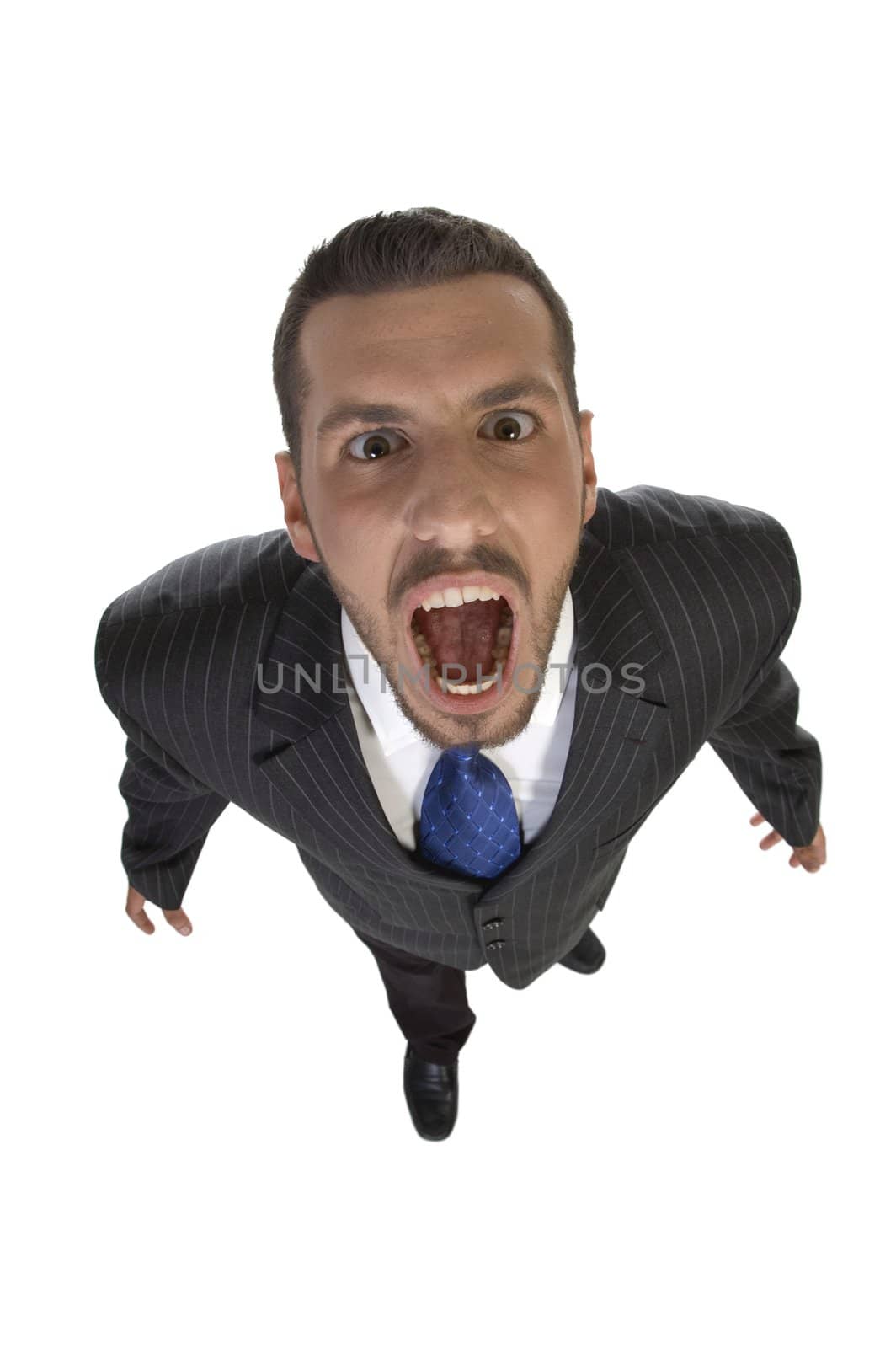 shouting man looking upward on an isolated white  background