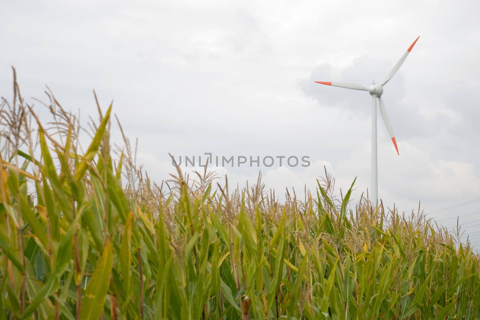 A wind turbine against a overcast sky